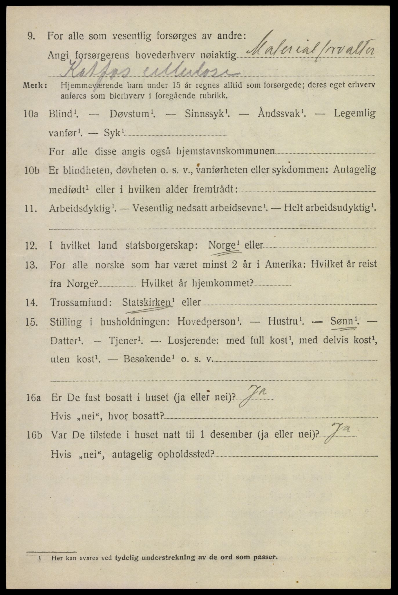 SAKO, 1920 census for Modum, 1920, p. 15954