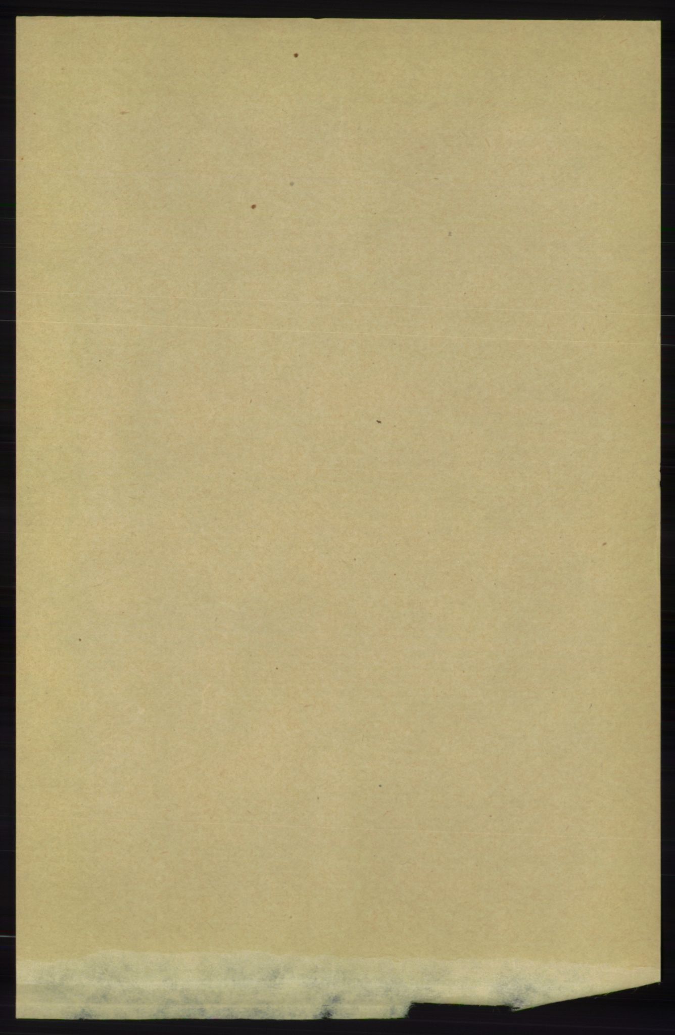 RA, 1891 census for 1157 Vikedal, 1891, p. 3180