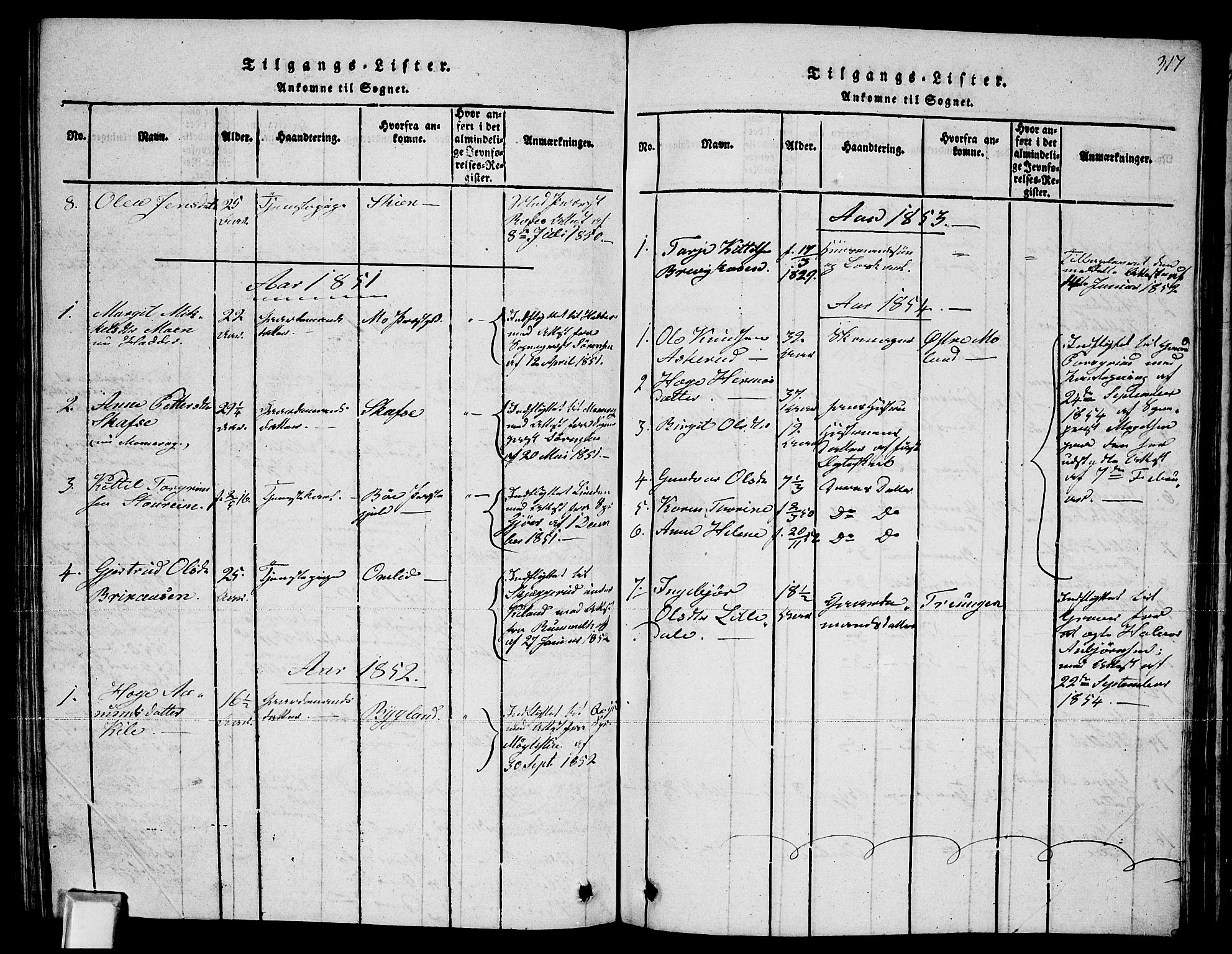 Fyresdal kirkebøker, SAKO/A-263/G/Ga/L0002: Parish register (copy) no. I 2, 1815-1857, p. 317