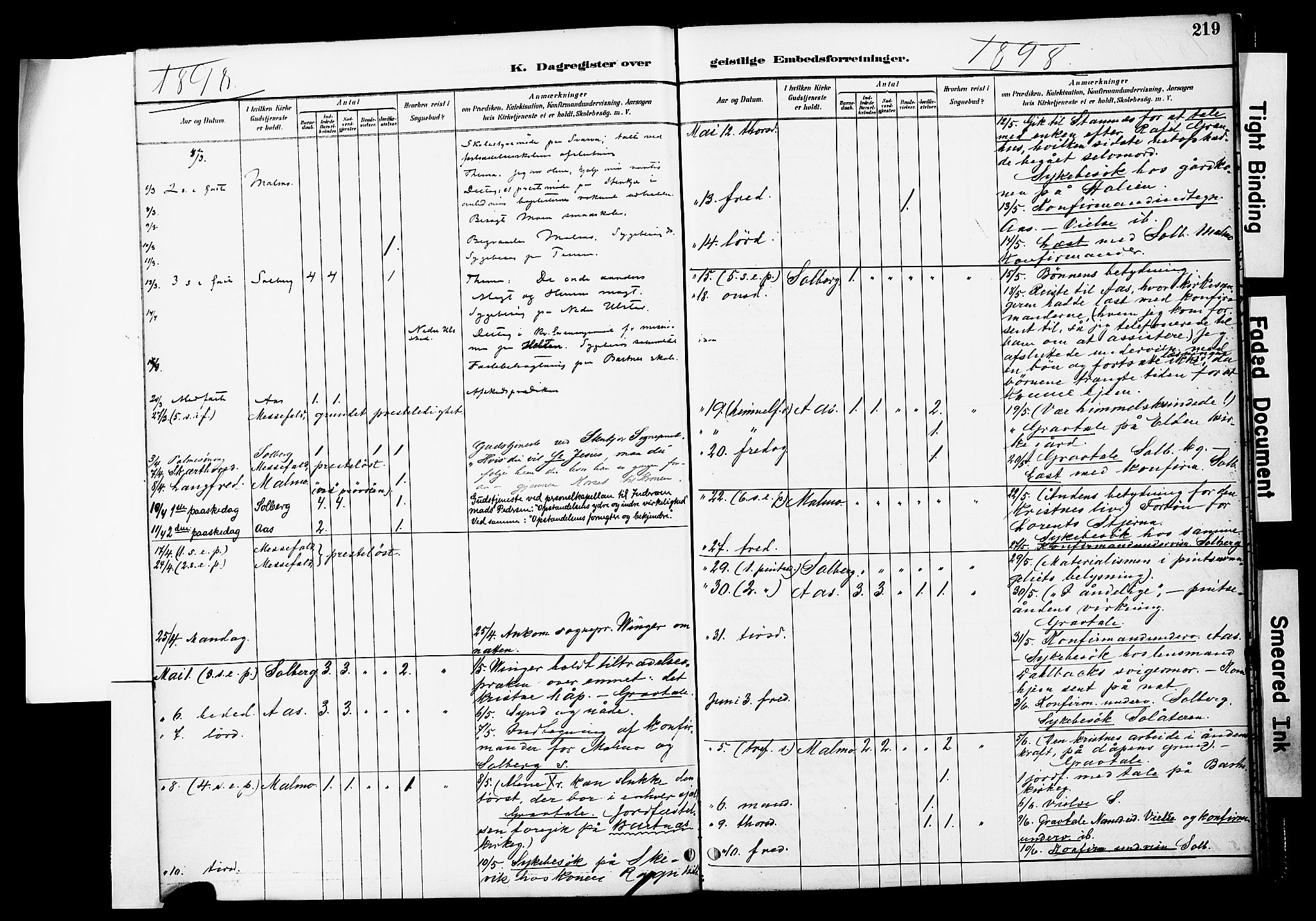 Ministerialprotokoller, klokkerbøker og fødselsregistre - Nord-Trøndelag, AV/SAT-A-1458/741/L0396: Parish register (official) no. 741A10, 1889-1901, p. 219