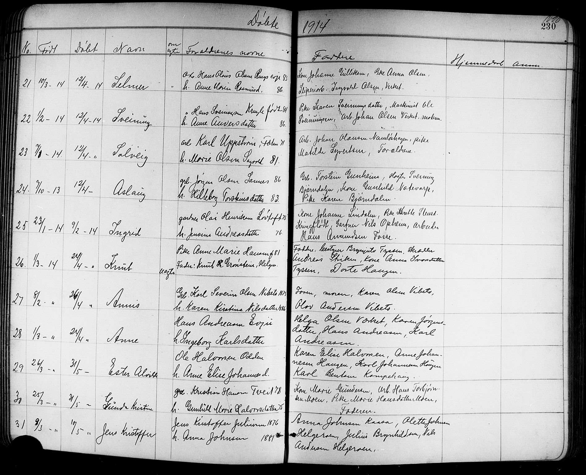 Holla kirkebøker, SAKO/A-272/G/Ga/L0005: Parish register (copy) no. I 5, 1891-1917, p. 230