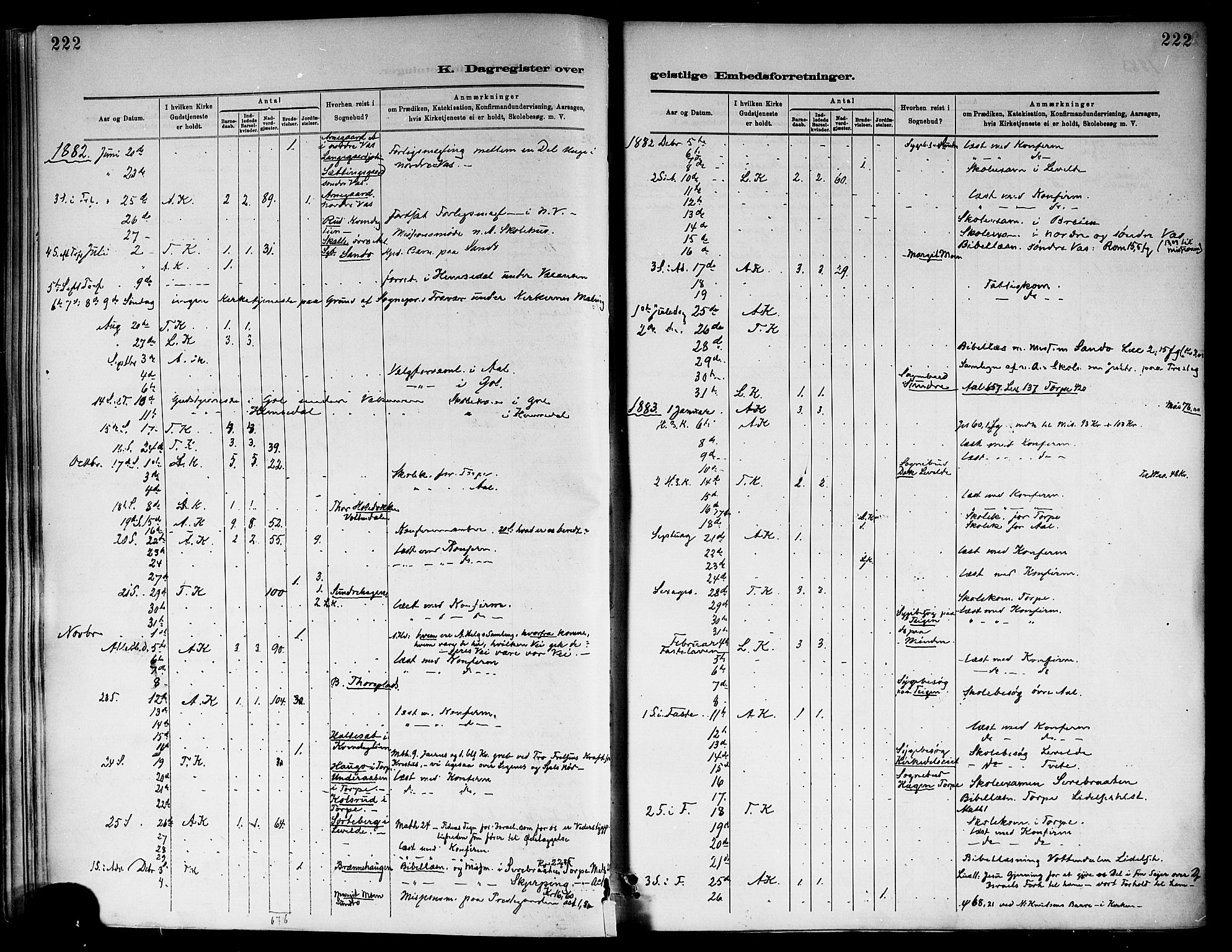 Ål kirkebøker, SAKO/A-249/F/Fa/L0008: Parish register (official) no. I 8, 1882-1896, p. 222