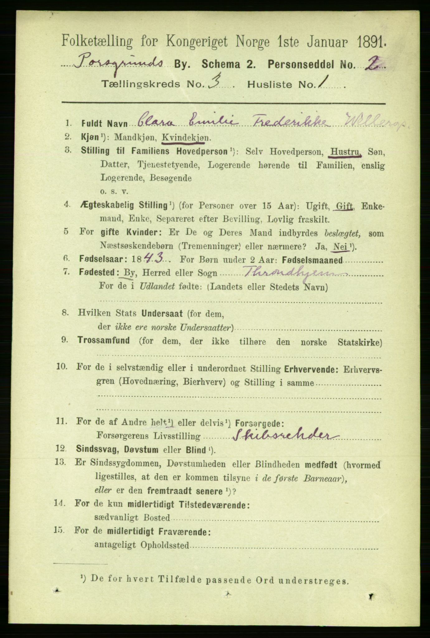 RA, 1891 census for 0805 Porsgrunn, 1891, p. 2784