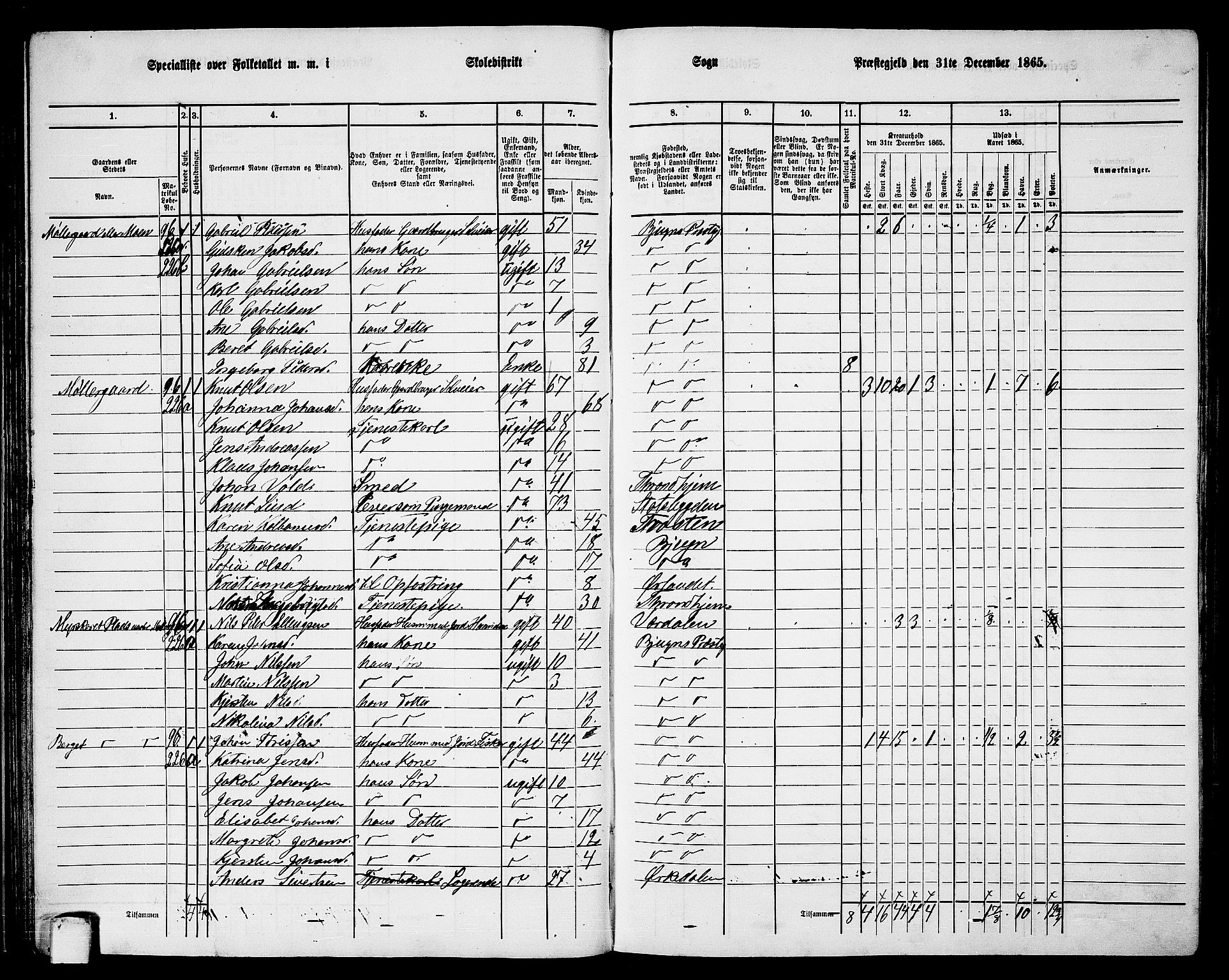 RA, 1865 census for Bjugn, 1865, p. 48