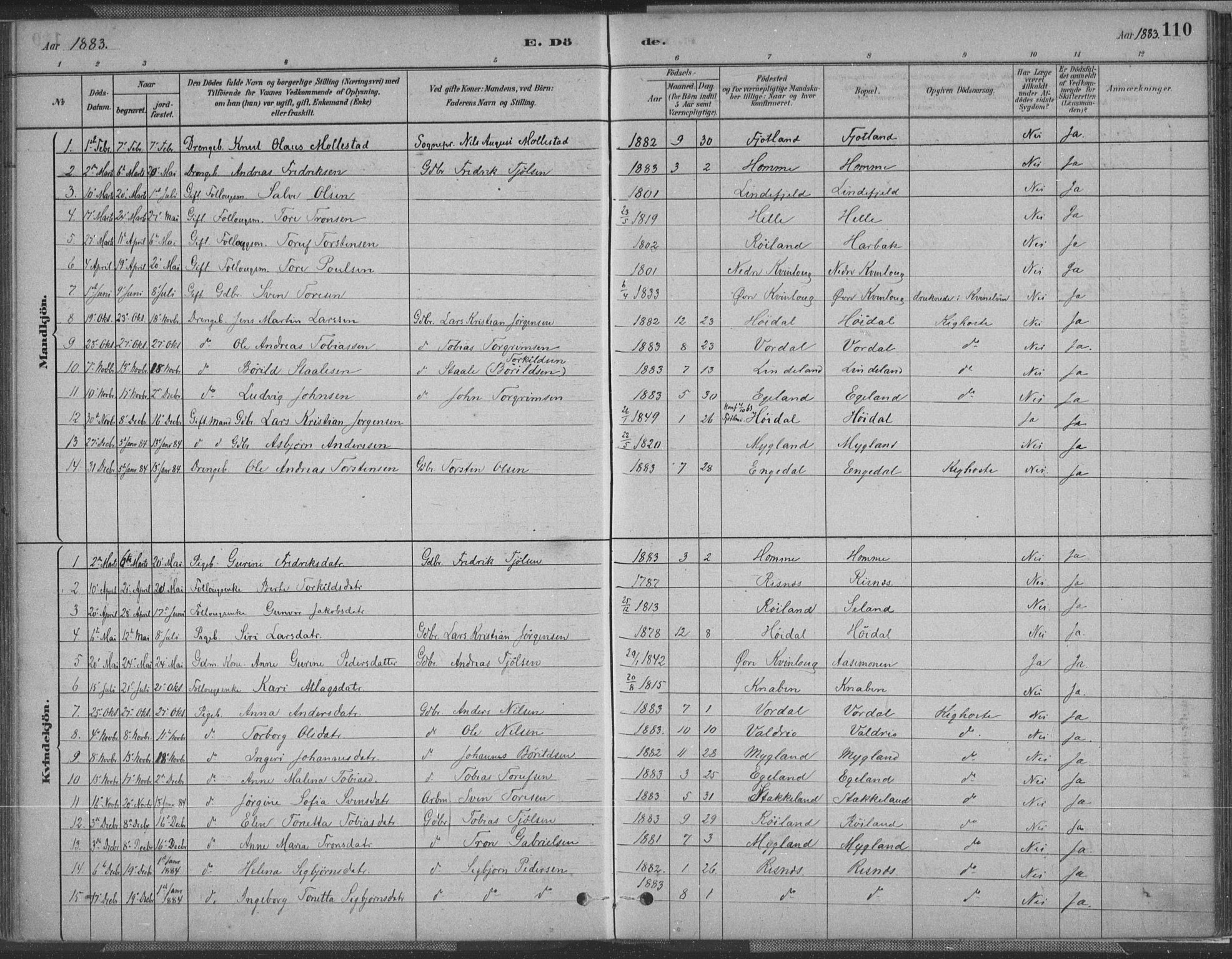 Fjotland sokneprestkontor, AV/SAK-1111-0010/F/Fa/L0002: Parish register (official) no. A 2, 1880-1898, p. 110