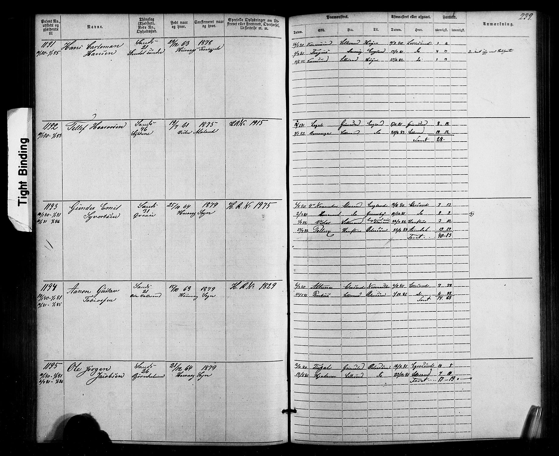 Lillesand mønstringskrets, SAK/2031-0014/F/Fa/L0002: Annotasjonsrulle nr 1-1910 med register, W-8, 1868-1891, p. 245