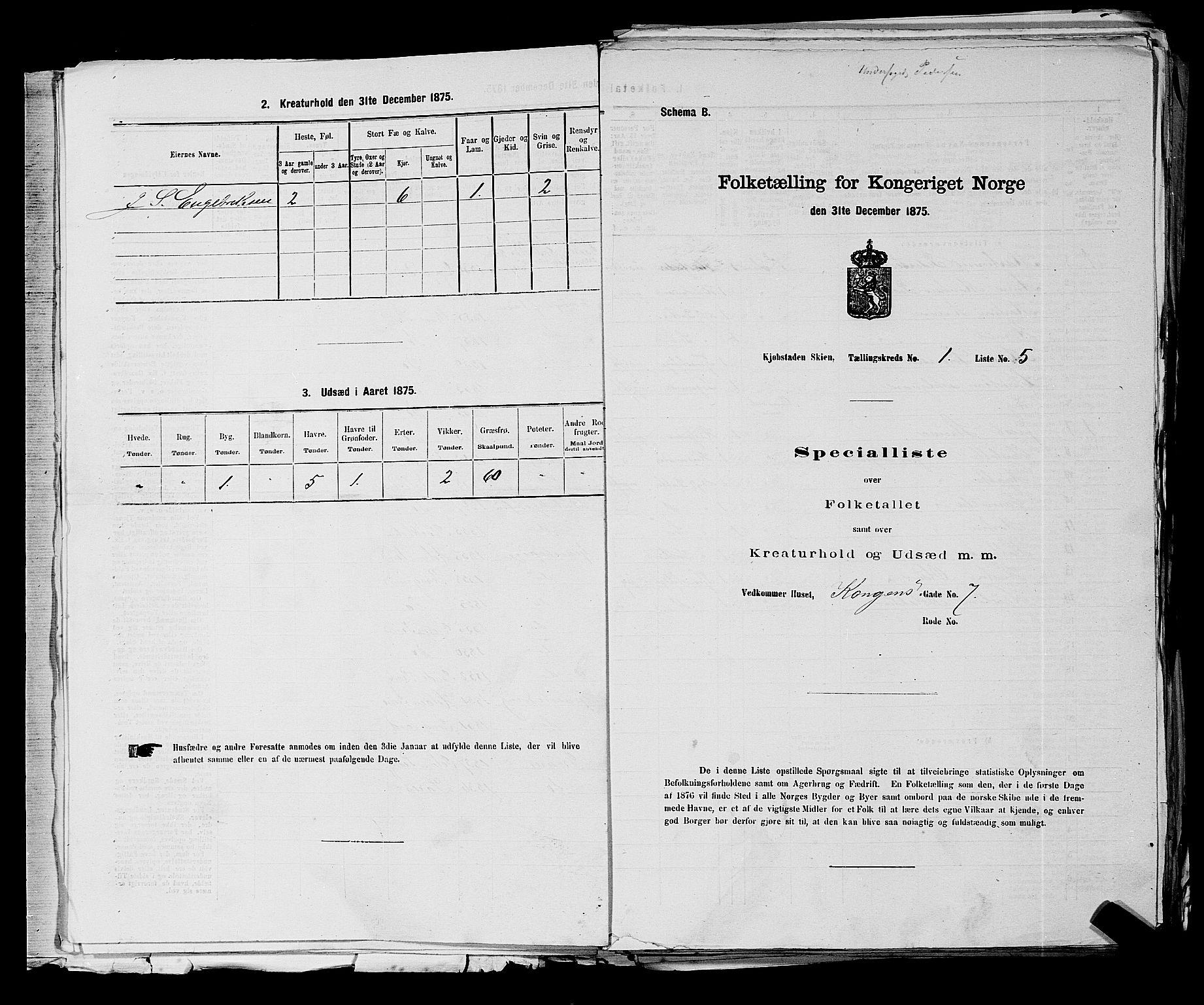 SAKO, 1875 census for 0806P Skien, 1875, p. 36