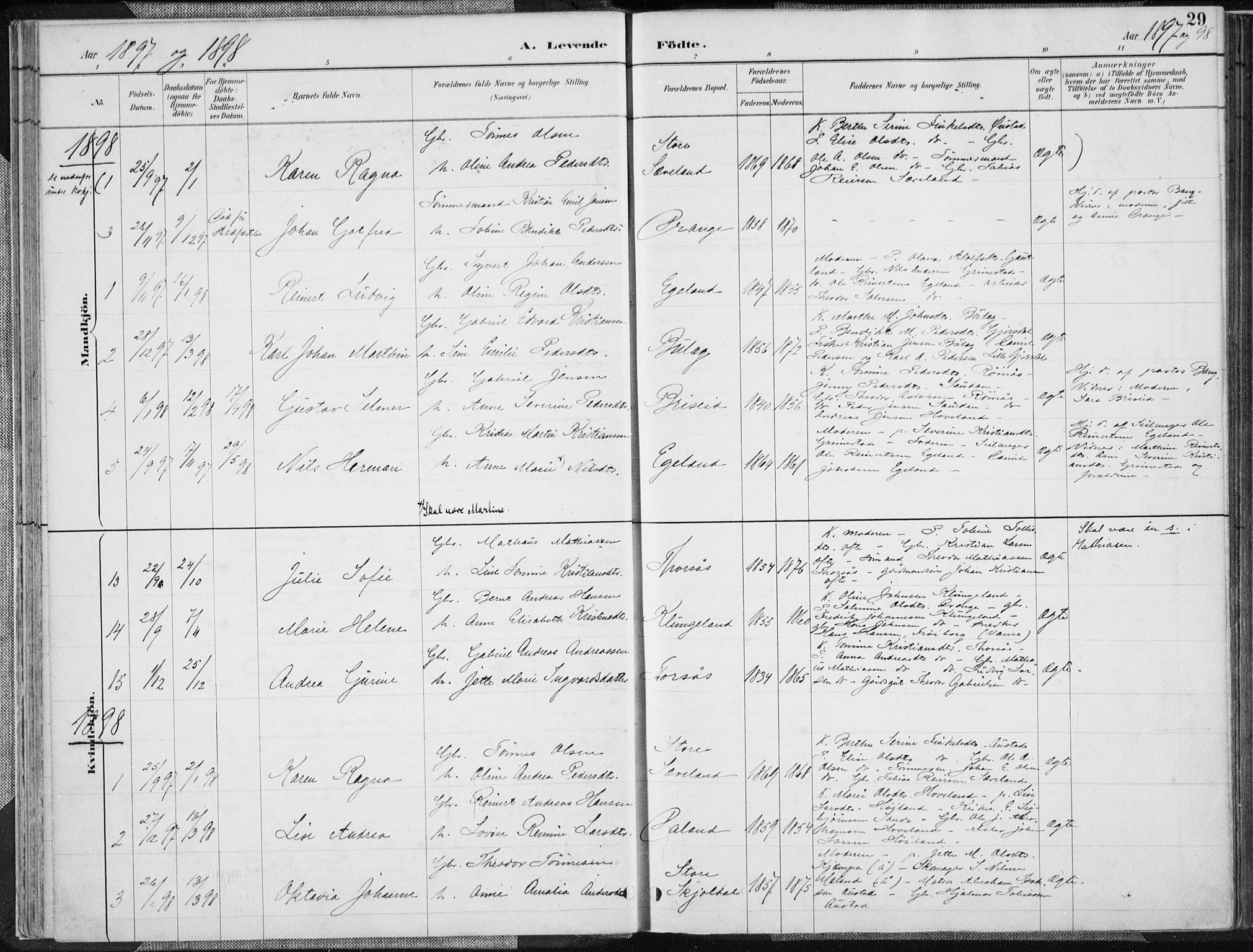 Herad sokneprestkontor, SAK/1111-0018/F/Fa/Faa/L0006: Parish register (official) no. A 6, 1887-1907, p. 29