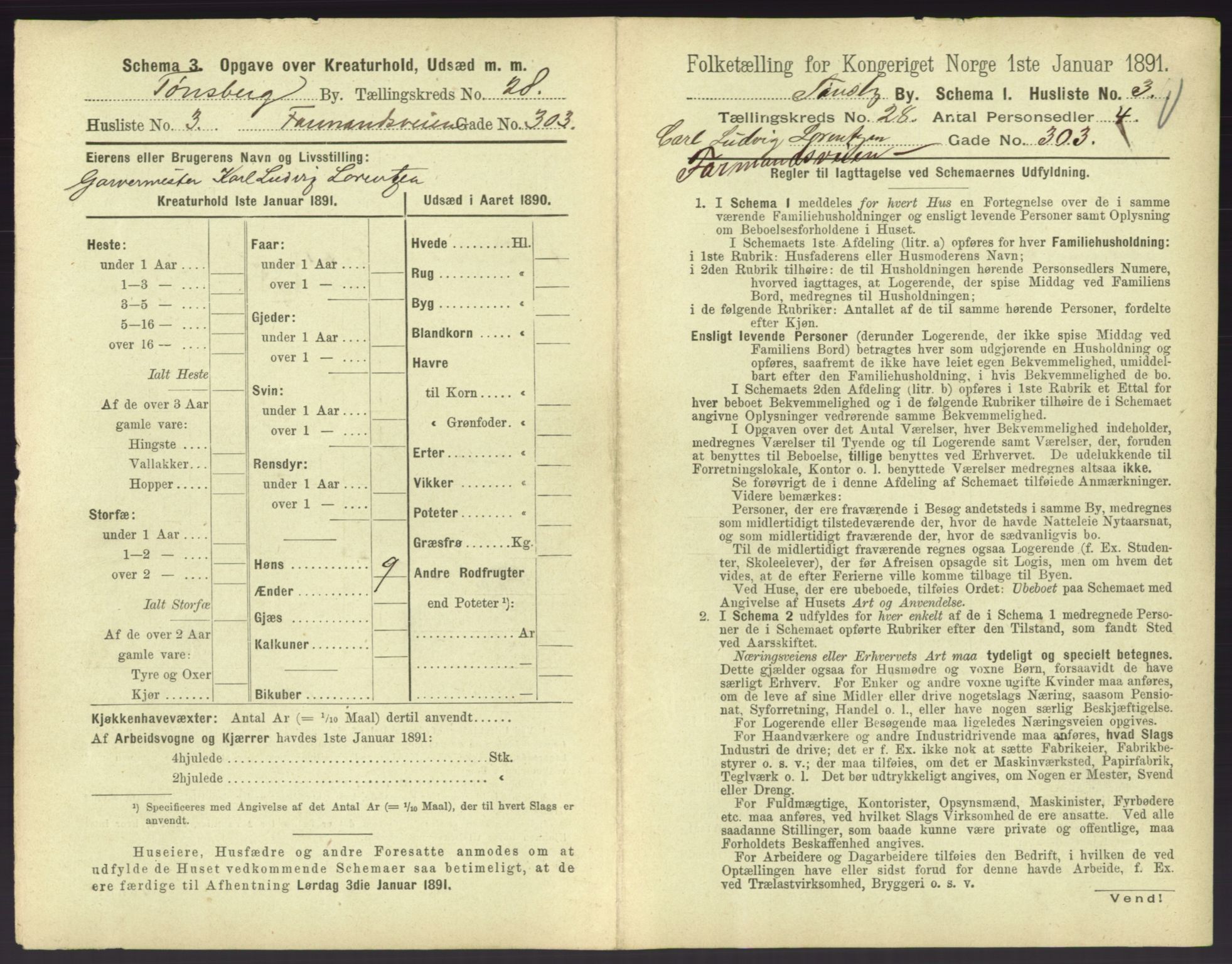 RA, 1891 census for 0705 Tønsberg, 1891, p. 868