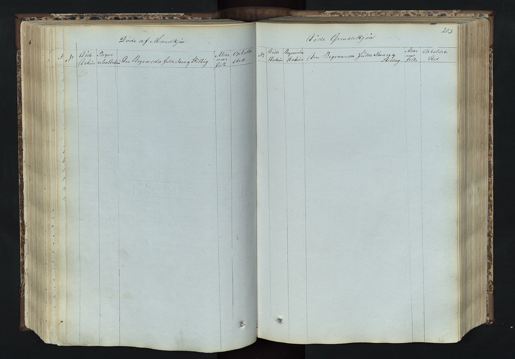 Romedal prestekontor, SAH/PREST-004/L/L0011: Parish register (copy) no. 11, 1867-1895, p. 203