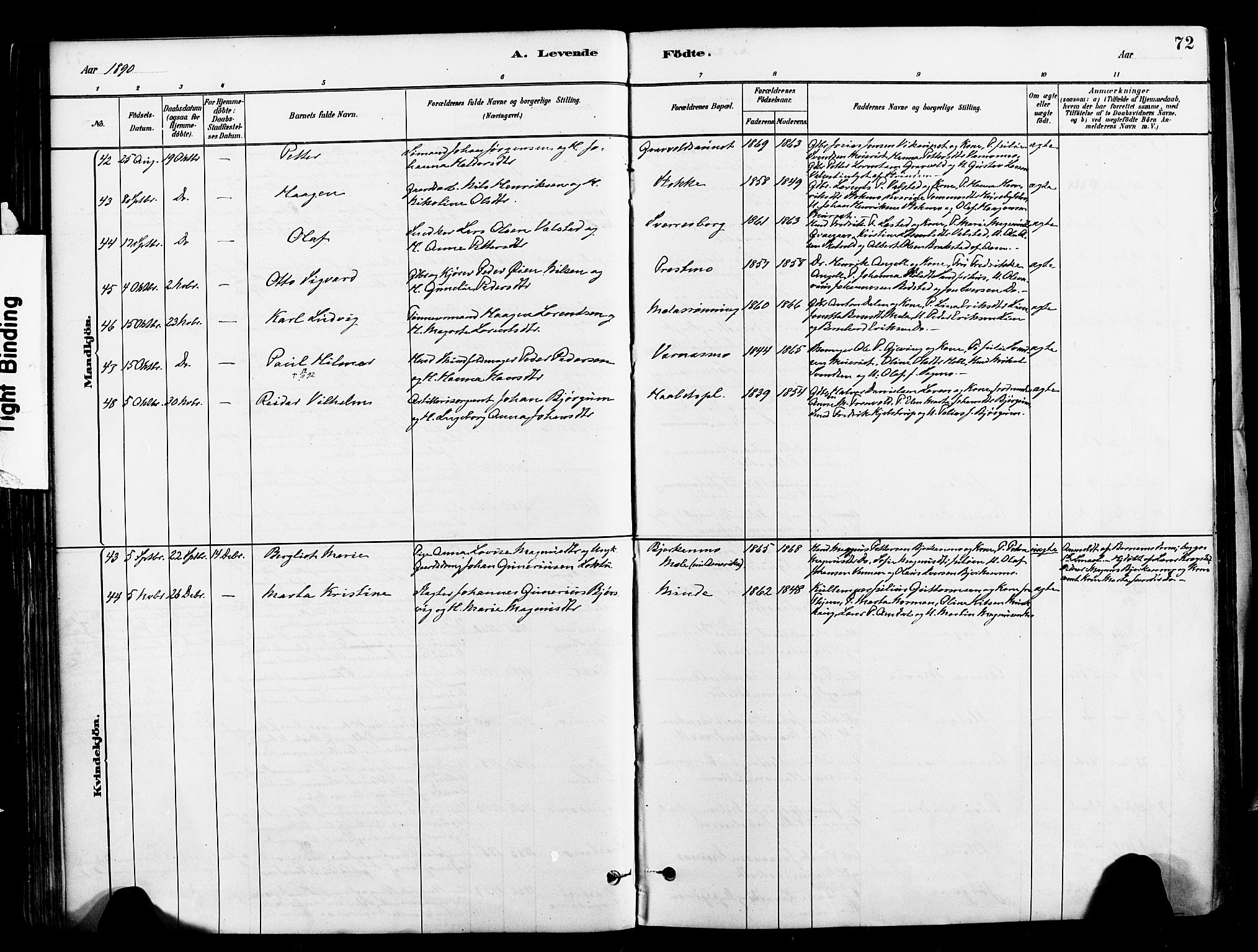 Ministerialprotokoller, klokkerbøker og fødselsregistre - Nord-Trøndelag, SAT/A-1458/709/L0077: Parish register (official) no. 709A17, 1880-1895, p. 72