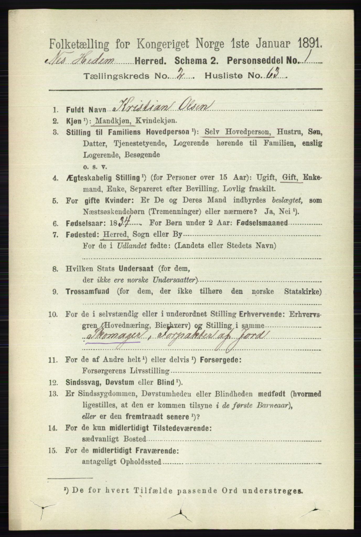 RA, 1891 census for 0411 Nes, 1891, p. 1509