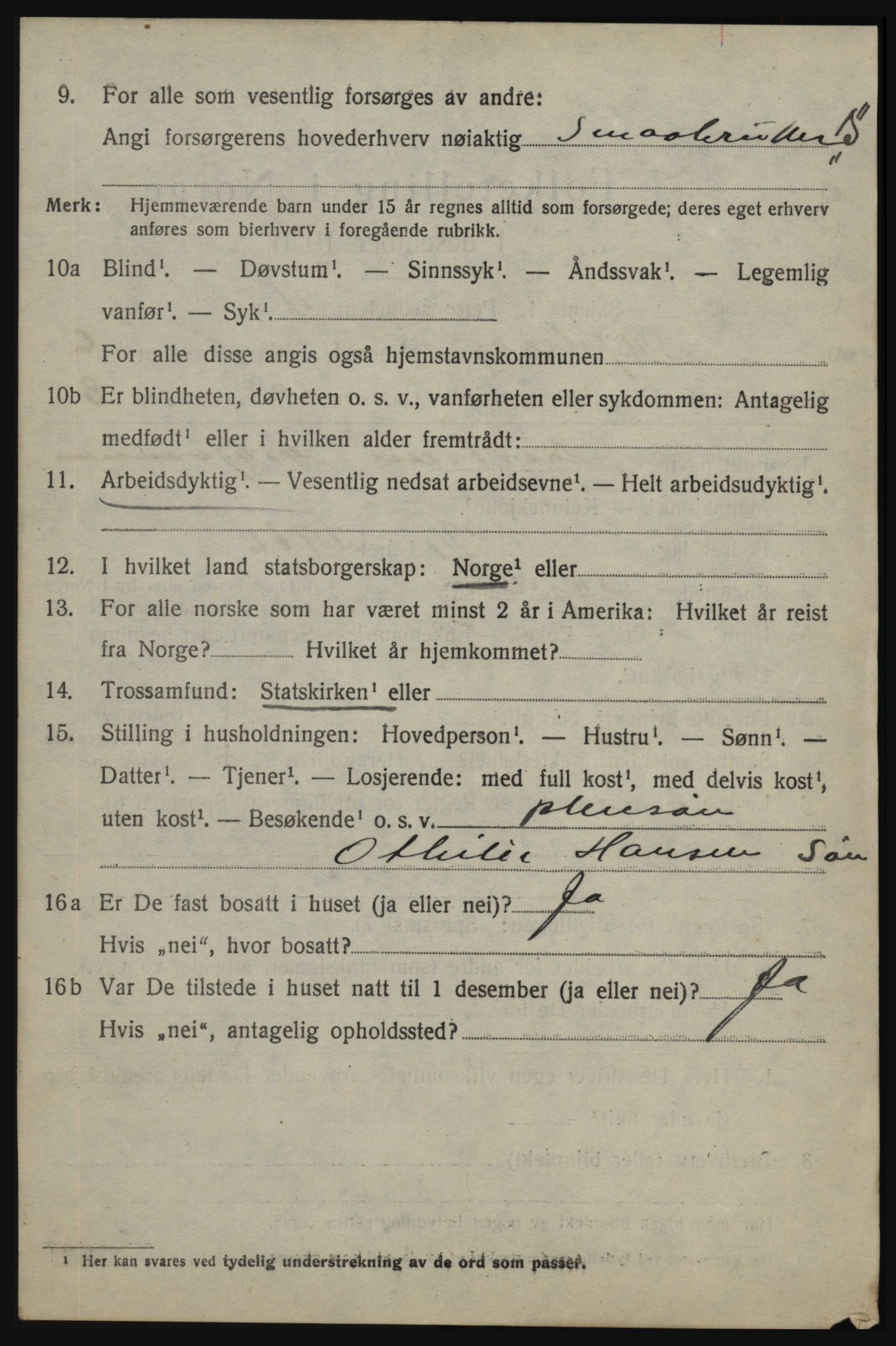 SAO, 1920 census for Skjeberg, 1920, p. 7166