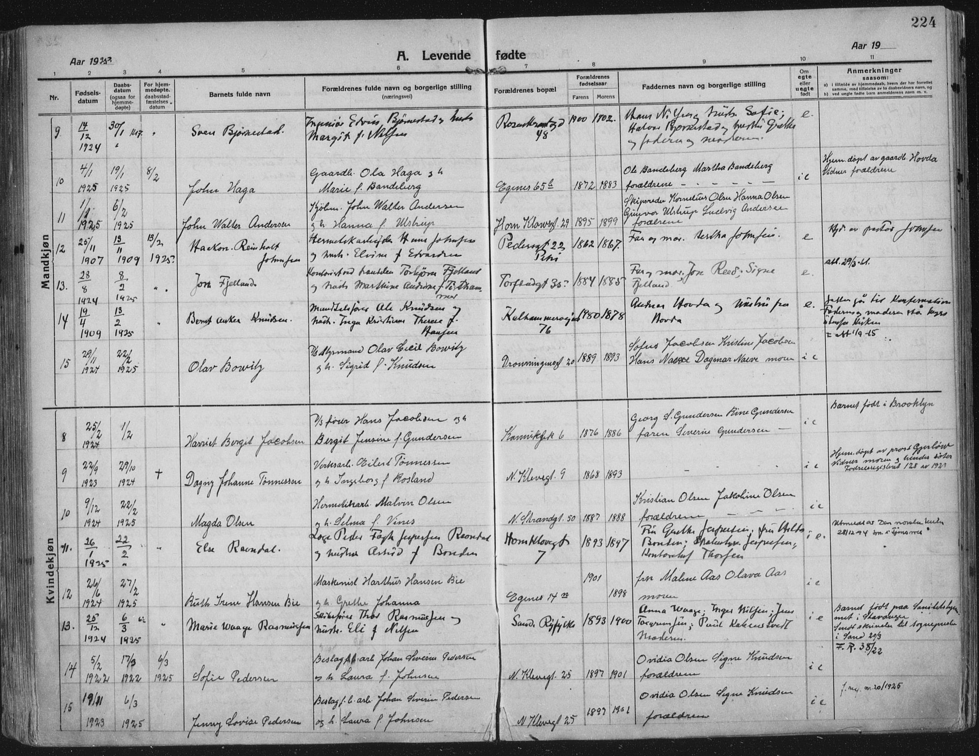 Domkirken sokneprestkontor, AV/SAST-A-101812/002/A/L0018: Parish register (official) no. A 34, 1915-1929, p. 224