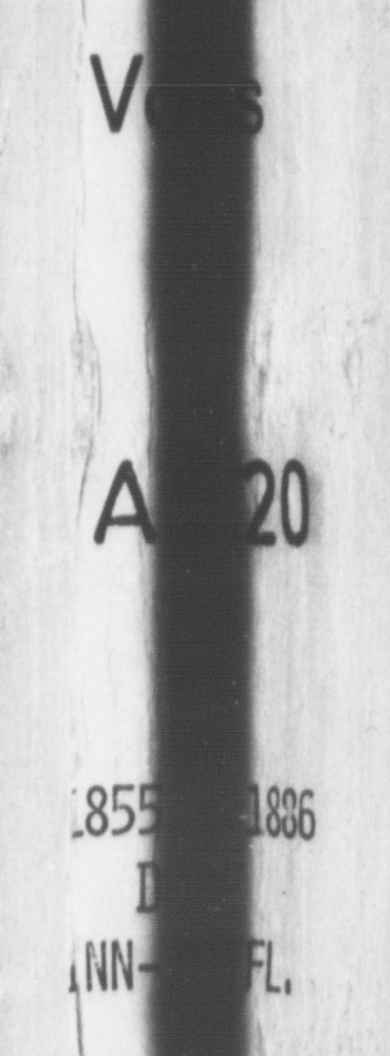 Voss sokneprestembete, AV/SAB-A-79001/H/Haa: Parish register (official) no. A 20, 1855-1886