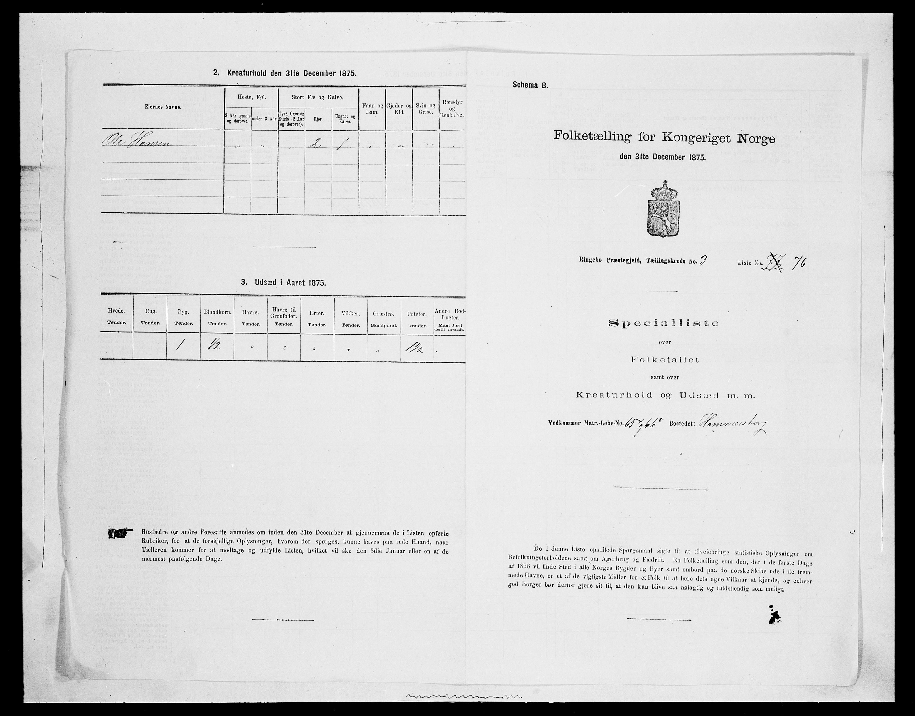 SAH, 1875 census for 0520P Ringebu, 1875, p. 542