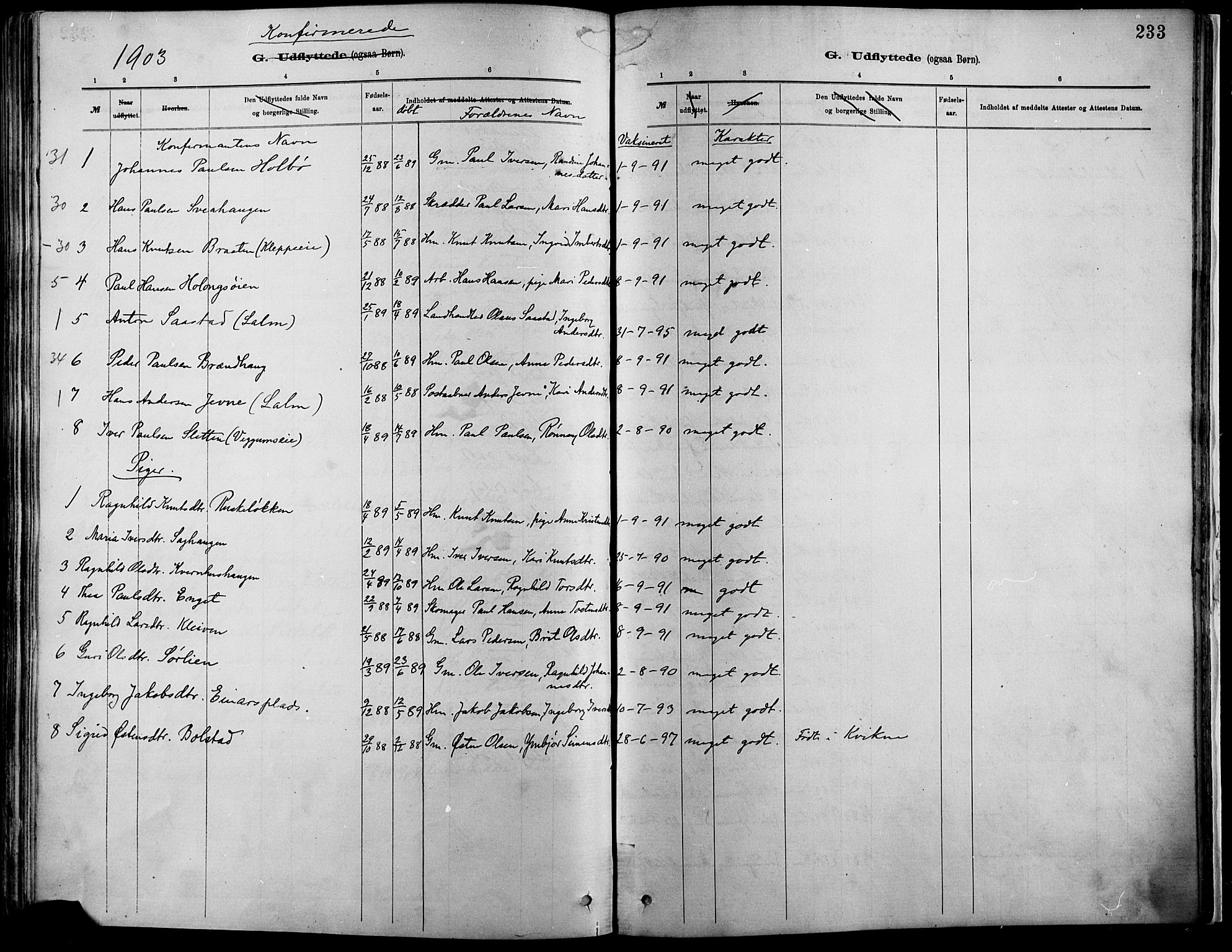 Vågå prestekontor, SAH/PREST-076/H/Ha/Haa/L0009: Parish register (official) no. 9, 1886-1904, p. 233