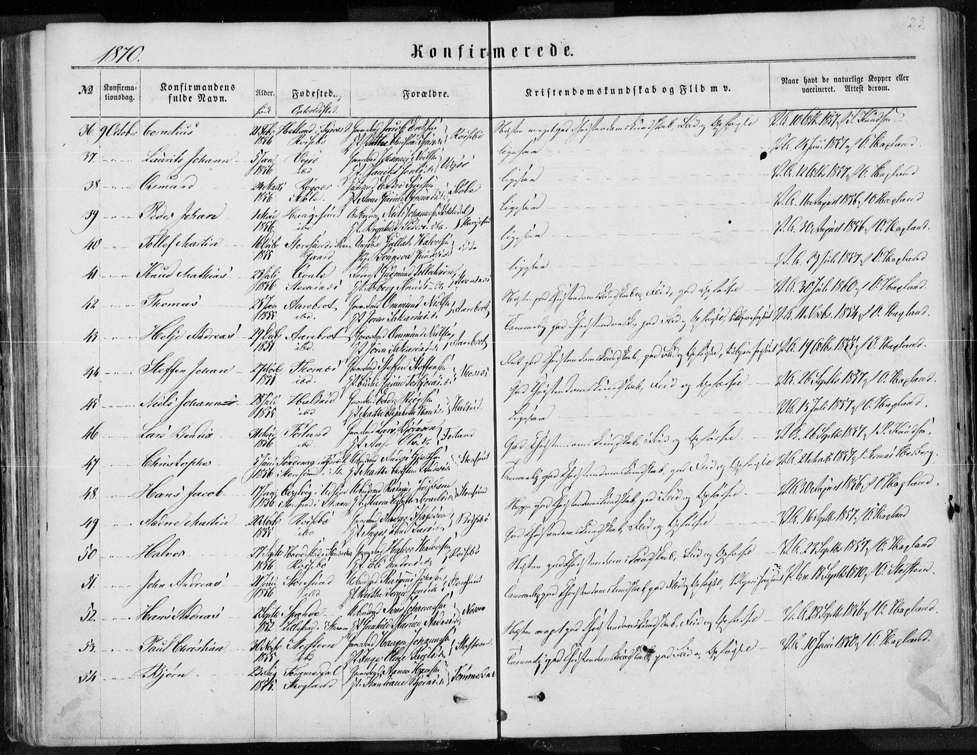 Torvastad sokneprestkontor, AV/SAST-A -101857/H/Ha/Haa/L0012: Parish register (official) no. A 12.1, 1867-1877, p. 123