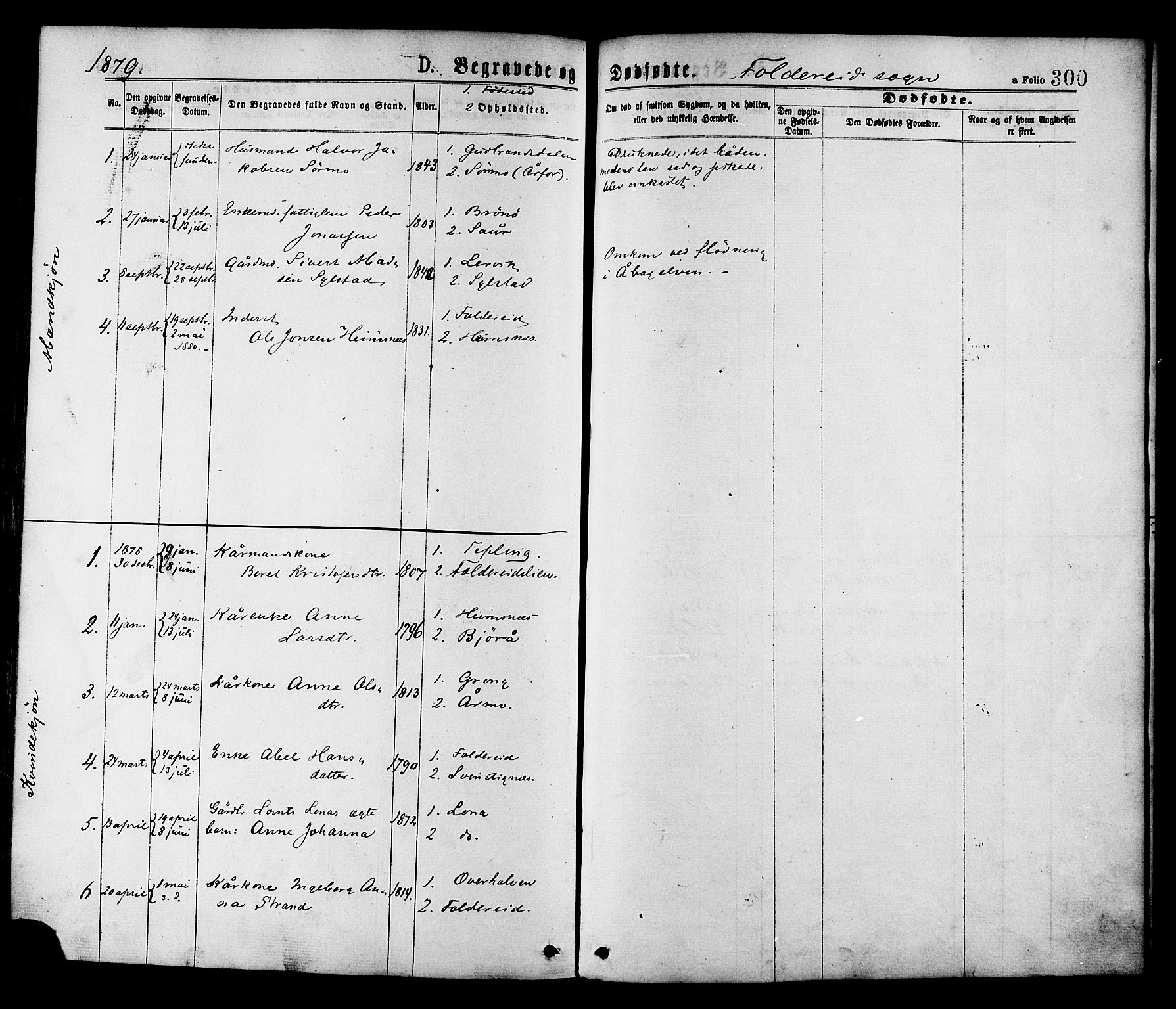 Ministerialprotokoller, klokkerbøker og fødselsregistre - Nord-Trøndelag, AV/SAT-A-1458/780/L0642: Parish register (official) no. 780A07 /2, 1878-1885, p. 300