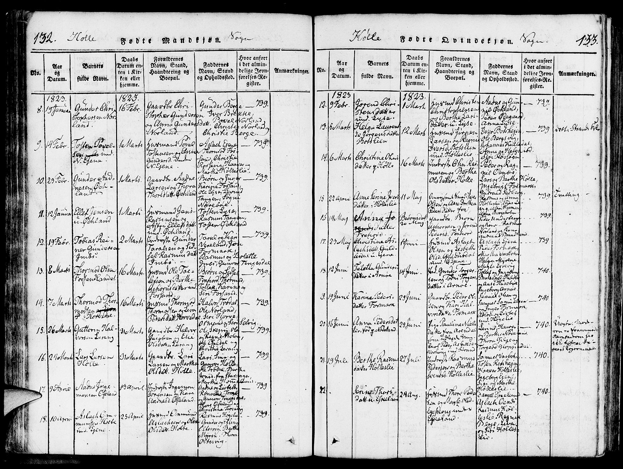 Strand sokneprestkontor, AV/SAST-A-101828/H/Ha/Haa/L0004: Parish register (official) no. A 4 /2, 1816-1833, p. 132-133