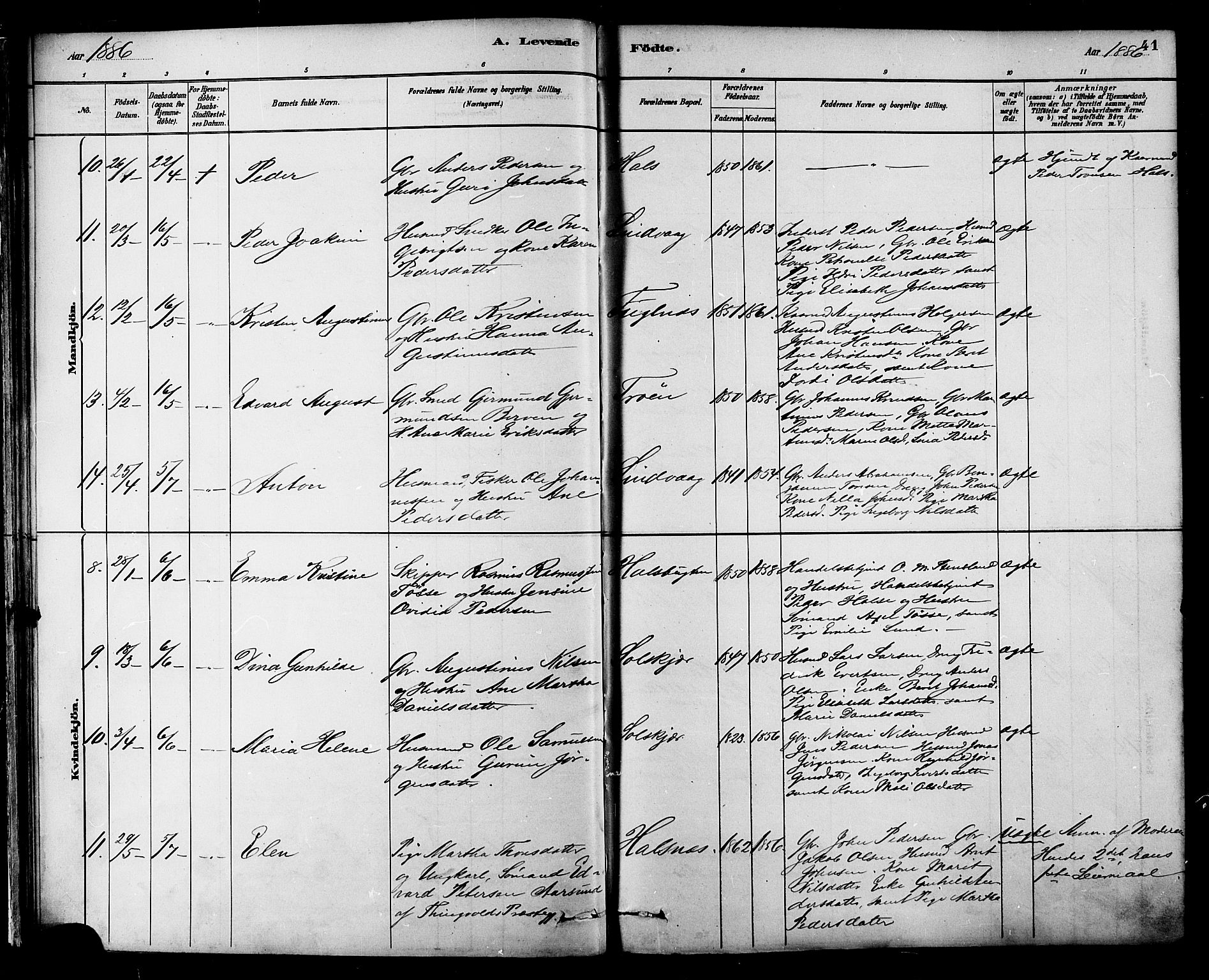 Ministerialprotokoller, klokkerbøker og fødselsregistre - Møre og Romsdal, AV/SAT-A-1454/577/L0896: Parish register (official) no. 577A03, 1880-1898, p. 41