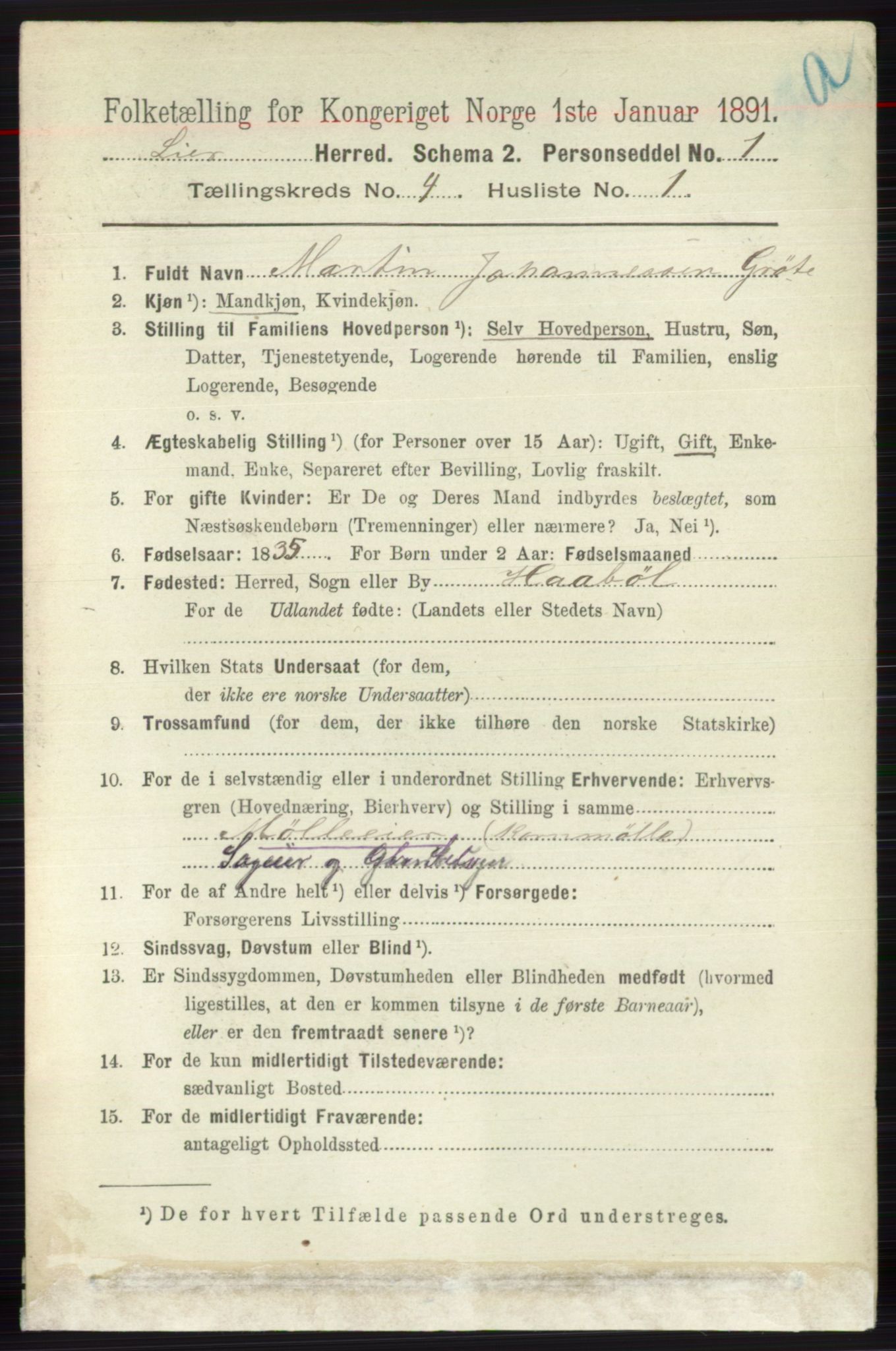 RA, 1891 census for 0626 Lier, 1891, p. 2869