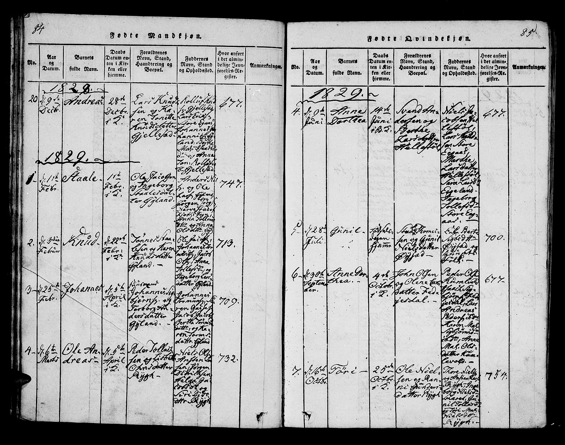 Bakke sokneprestkontor, AV/SAK-1111-0002/F/Fa/Fab/L0001: Parish register (official) no. A 1, 1815-1835, p. 84-85