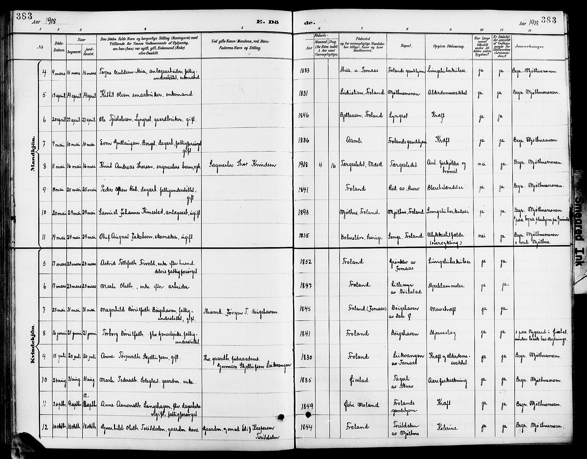 Froland sokneprestkontor, AV/SAK-1111-0013/F/Fb/L0010: Parish register (copy) no. B 10, 1893-1920, p. 383