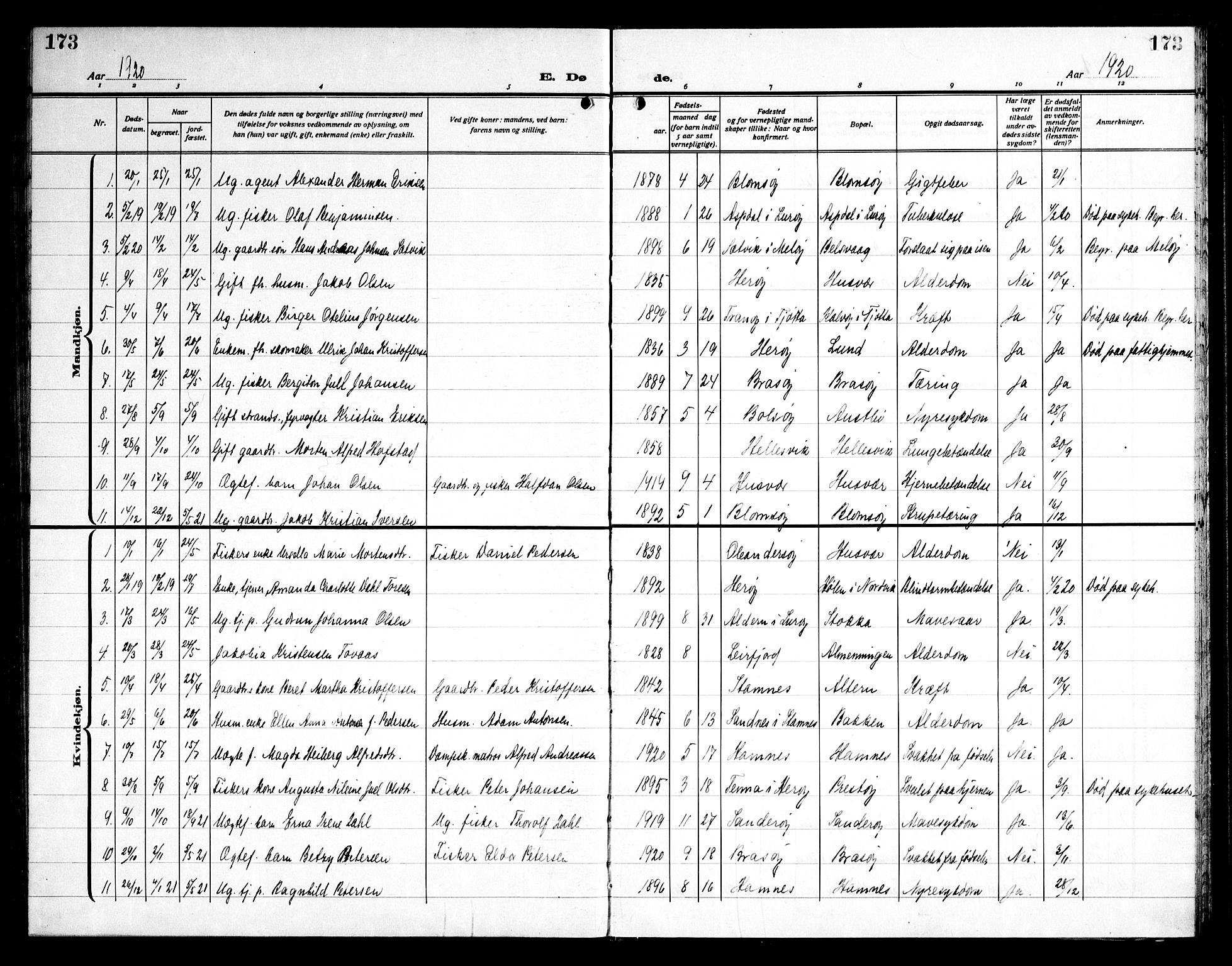 Ministerialprotokoller, klokkerbøker og fødselsregistre - Nordland, AV/SAT-A-1459/830/L0466: Parish register (copy) no. 830C08, 1920-1945, p. 173