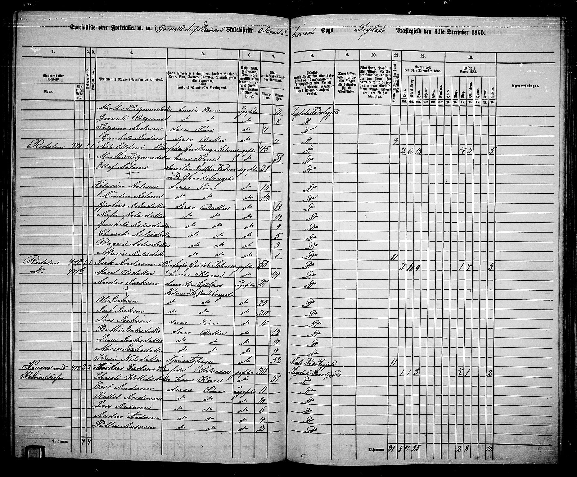 RA, 1865 census for Sigdal, 1865, p. 223