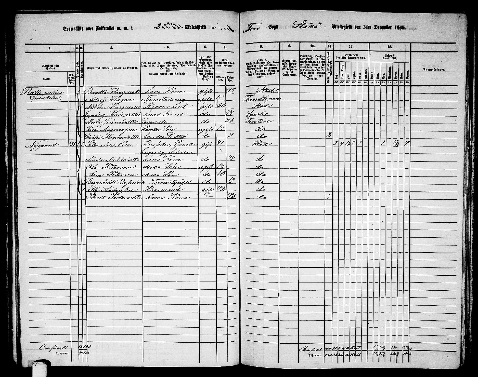 RA, 1865 census for Stod, 1865, p. 102