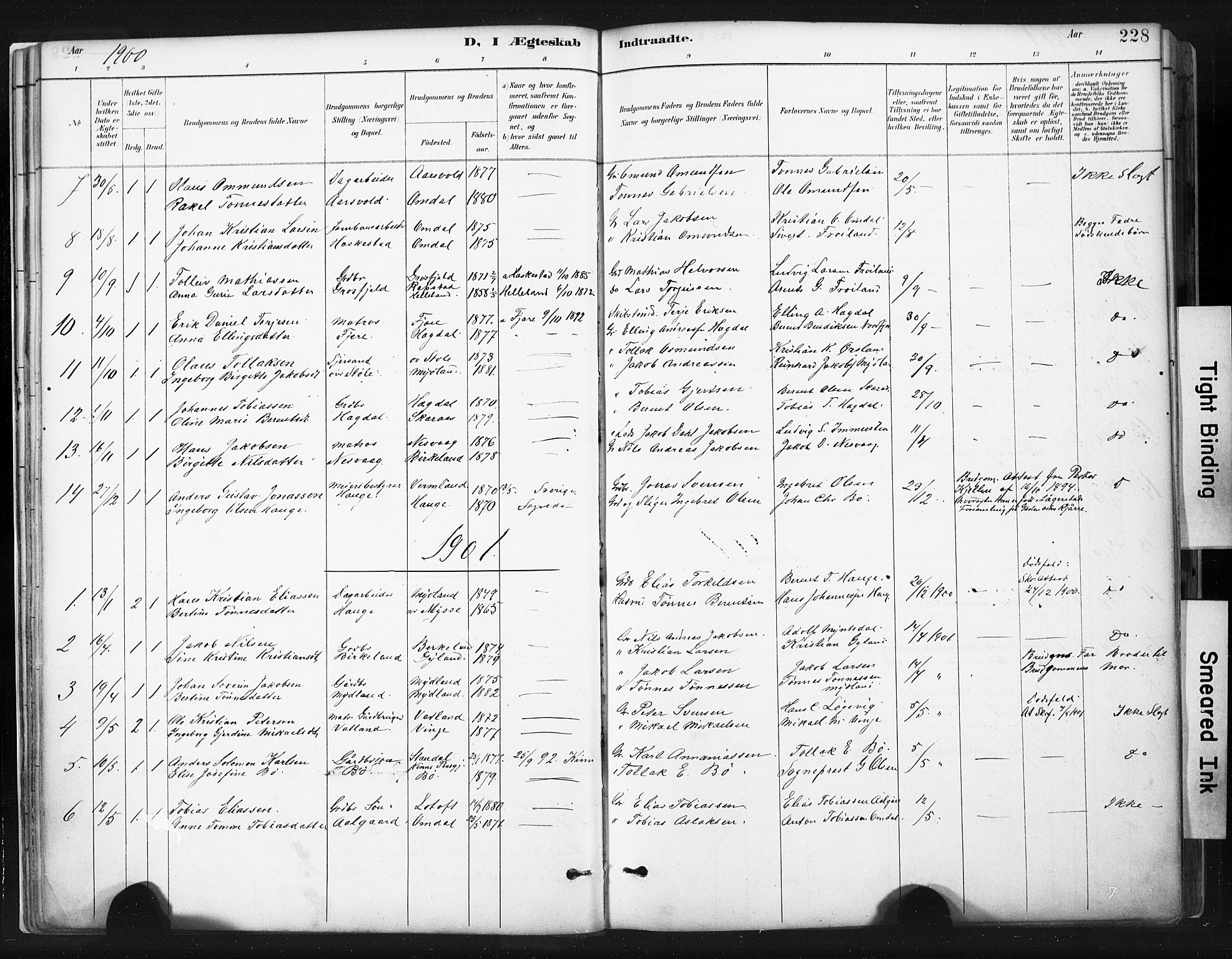 Sokndal sokneprestkontor, SAST/A-101808: Parish register (official) no. A 11.2, 1887-1905, p. 228