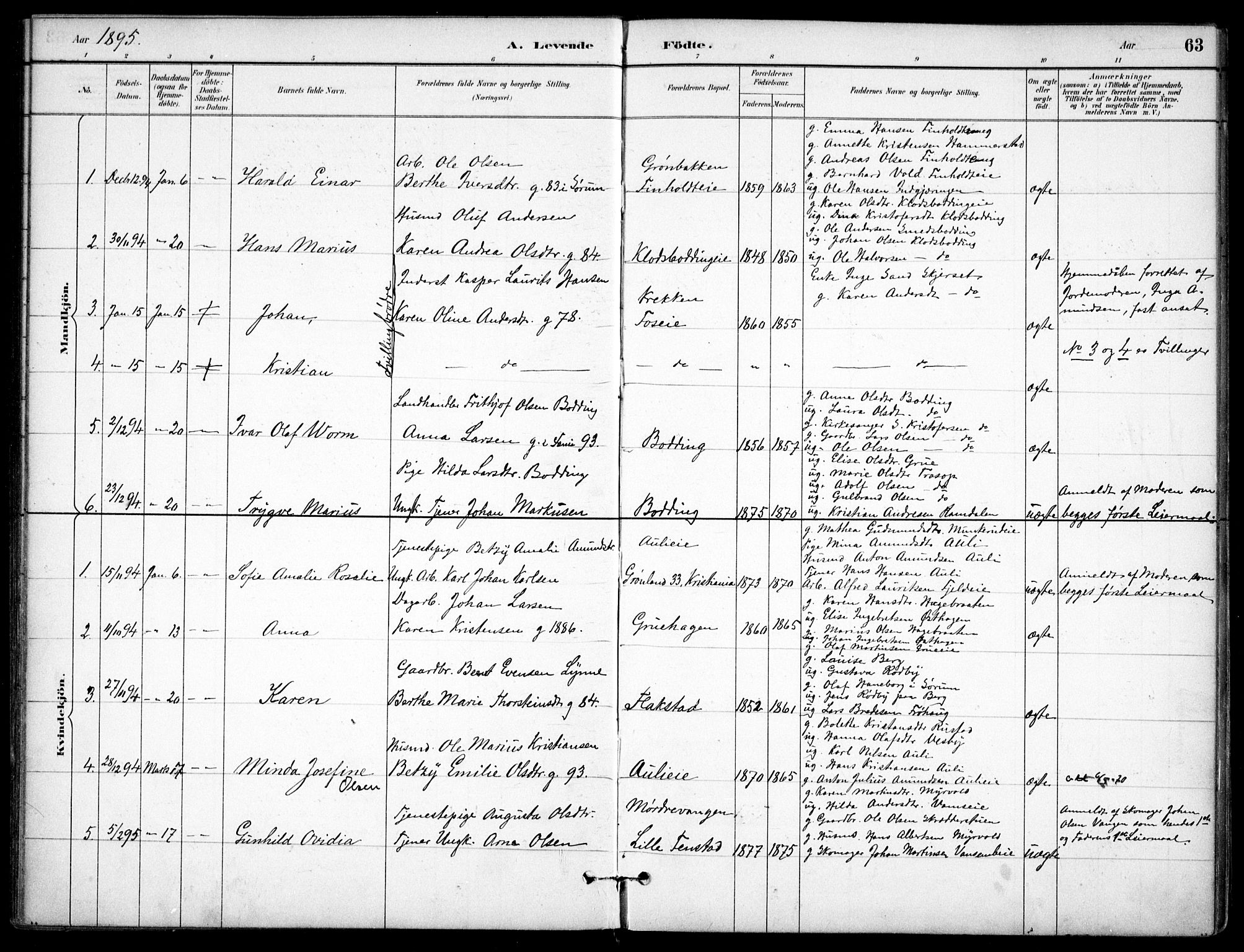 Nes prestekontor Kirkebøker, SAO/A-10410/F/Fc/L0002: Parish register (official) no. IIi 2, 1882-1916, p. 63