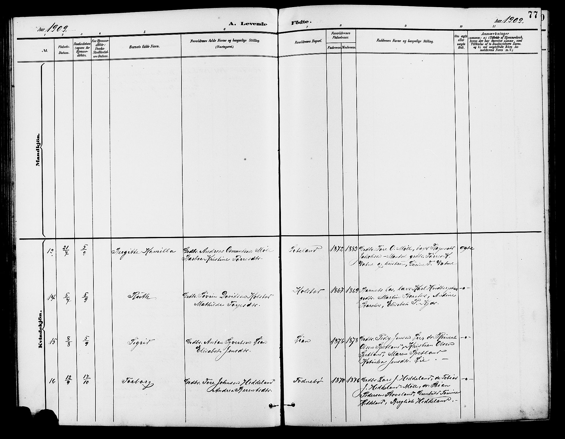 Holum sokneprestkontor, AV/SAK-1111-0022/F/Fb/Fba/L0005: Parish register (copy) no. B 5, 1891-1909, p. 77