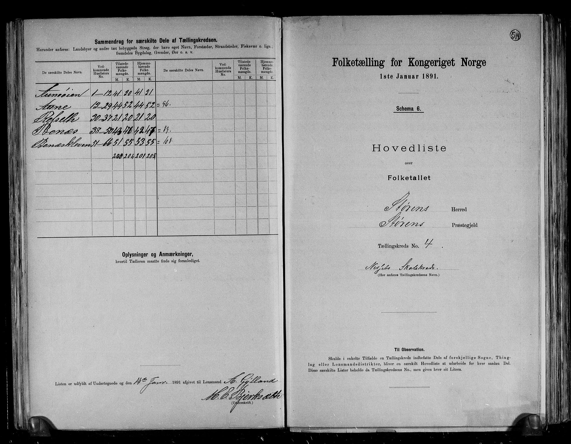 RA, 1891 census for 1648 Støren, 1891, p. 13