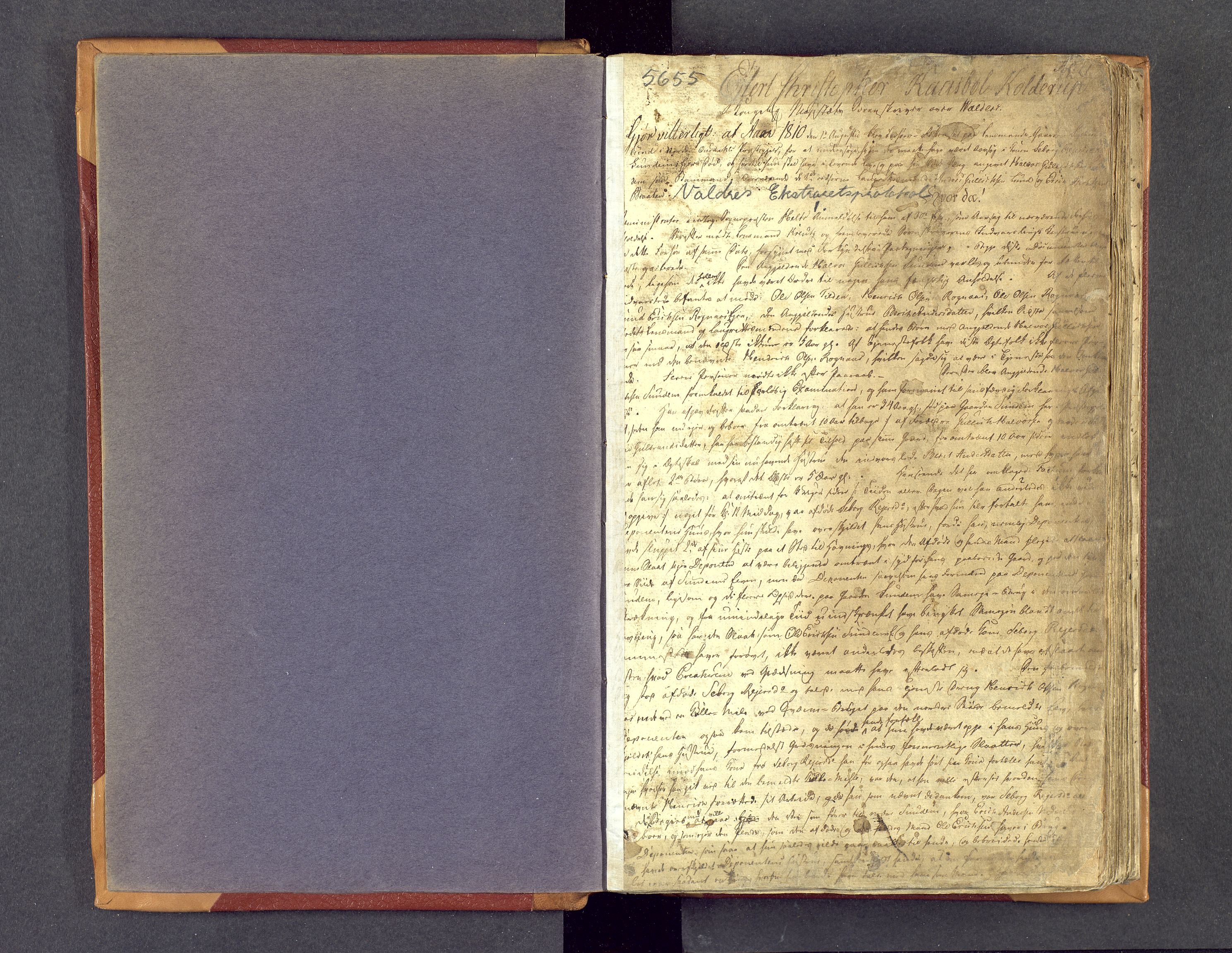 Valdres sorenskriveri, SAH/TING-016/G/Gc/L0001: Ekstrarettsprotokoll, 1810-1815, p. 0b-1a