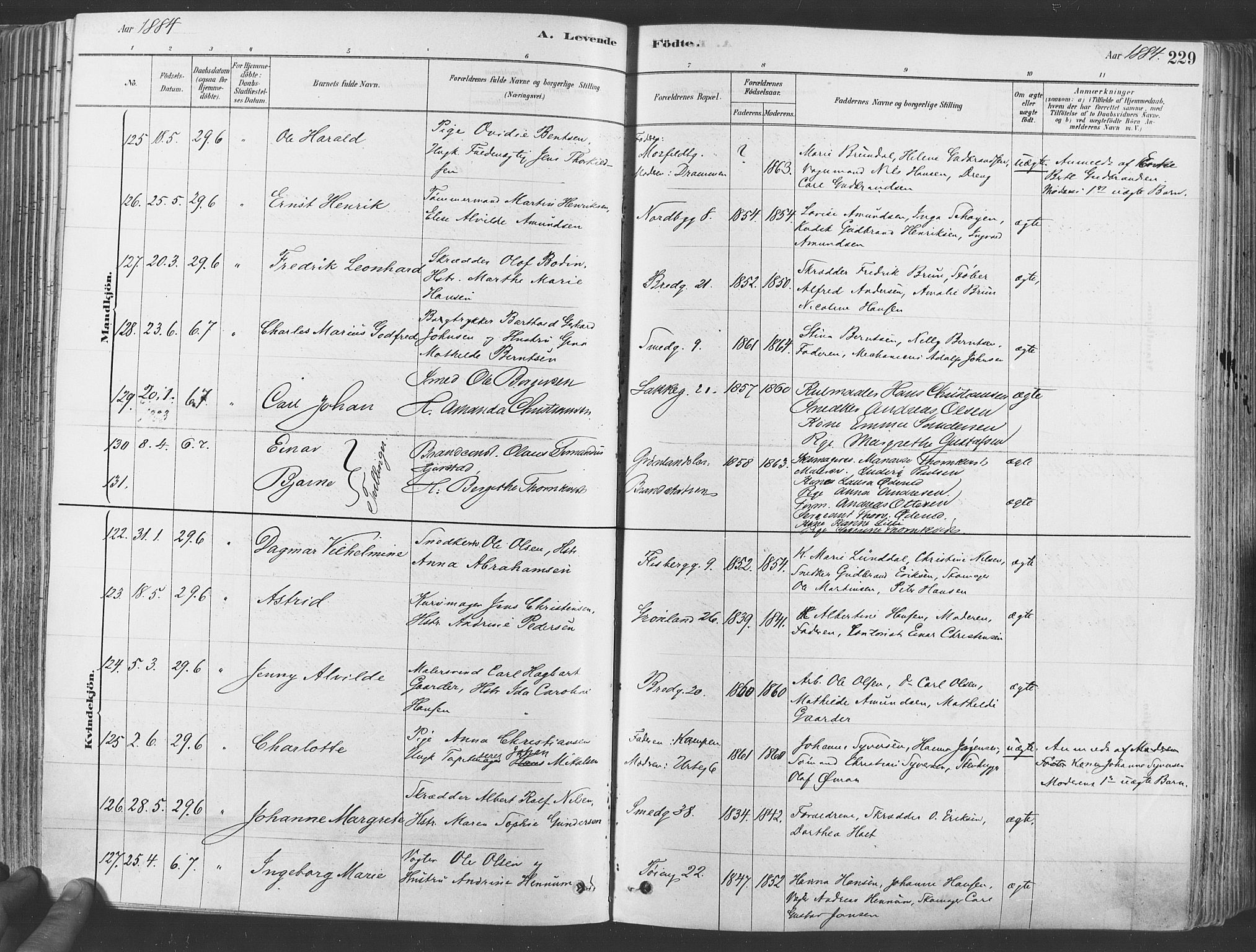 Grønland prestekontor Kirkebøker, SAO/A-10848/F/Fa/L0007: Parish register (official) no. 7, 1878-1888, p. 229