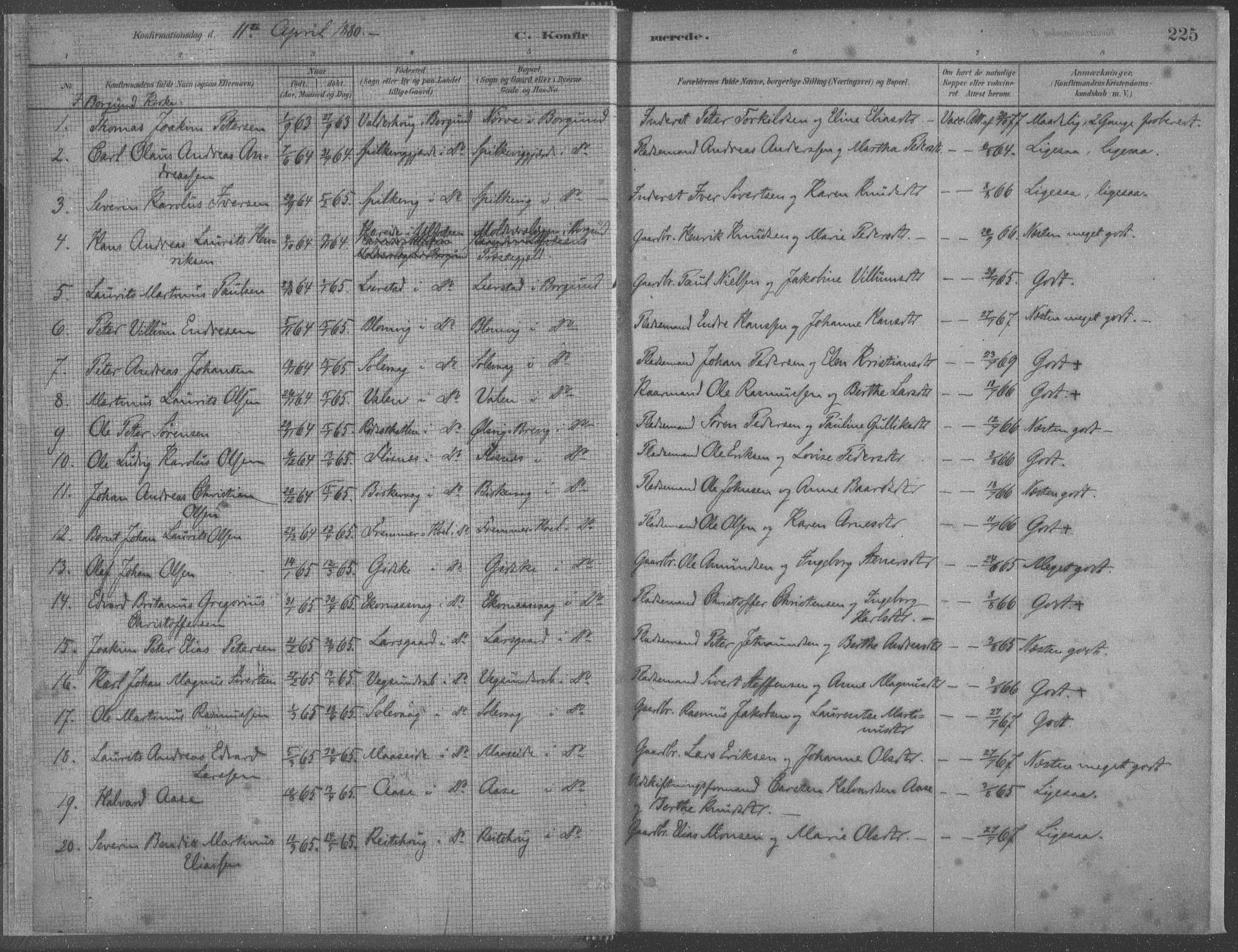 Ministerialprotokoller, klokkerbøker og fødselsregistre - Møre og Romsdal, AV/SAT-A-1454/528/L0402: Parish register (official) no. 528A12II, 1880-1903, p. 225