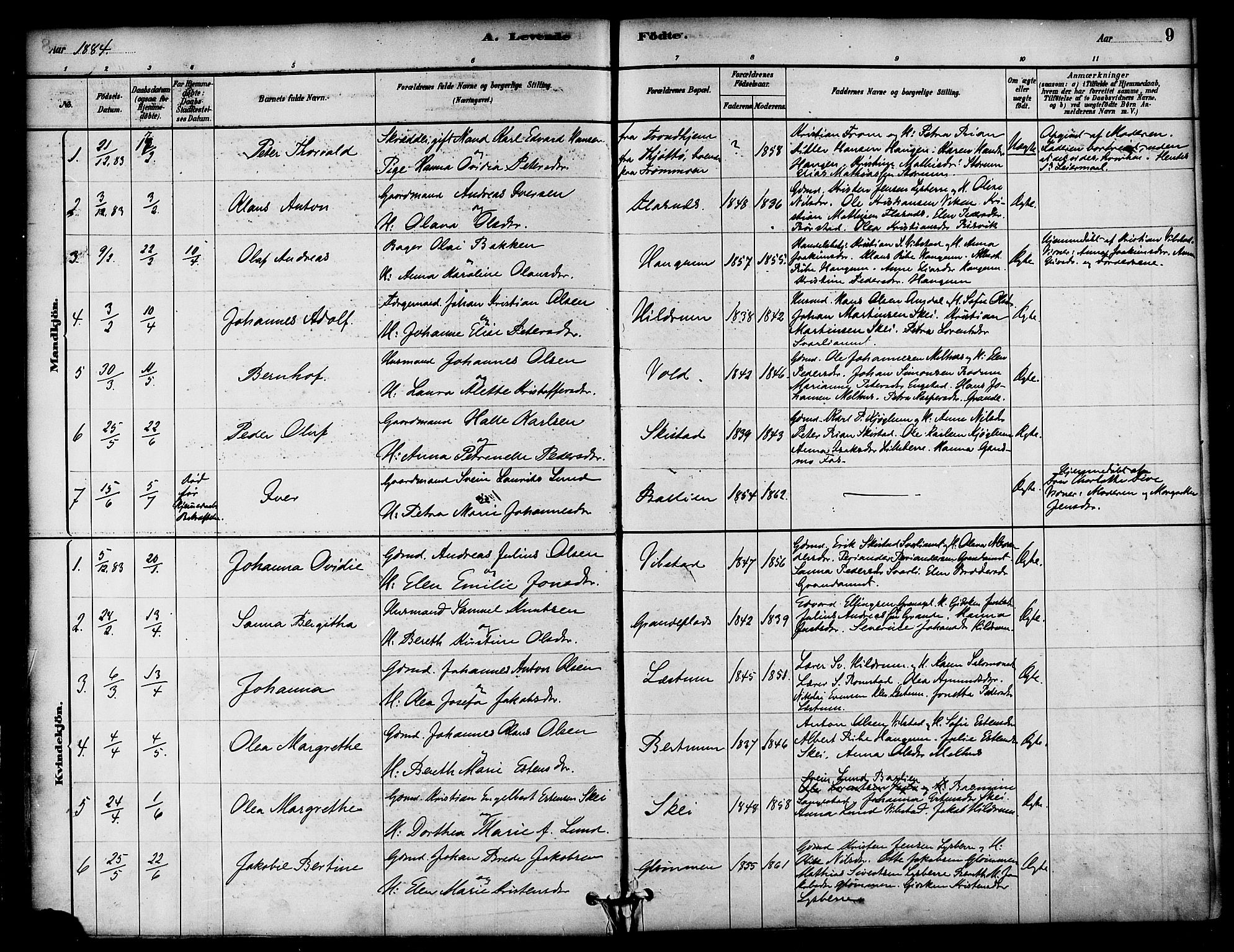 Ministerialprotokoller, klokkerbøker og fødselsregistre - Nord-Trøndelag, AV/SAT-A-1458/764/L0555: Parish register (official) no. 764A10, 1881-1896, p. 9