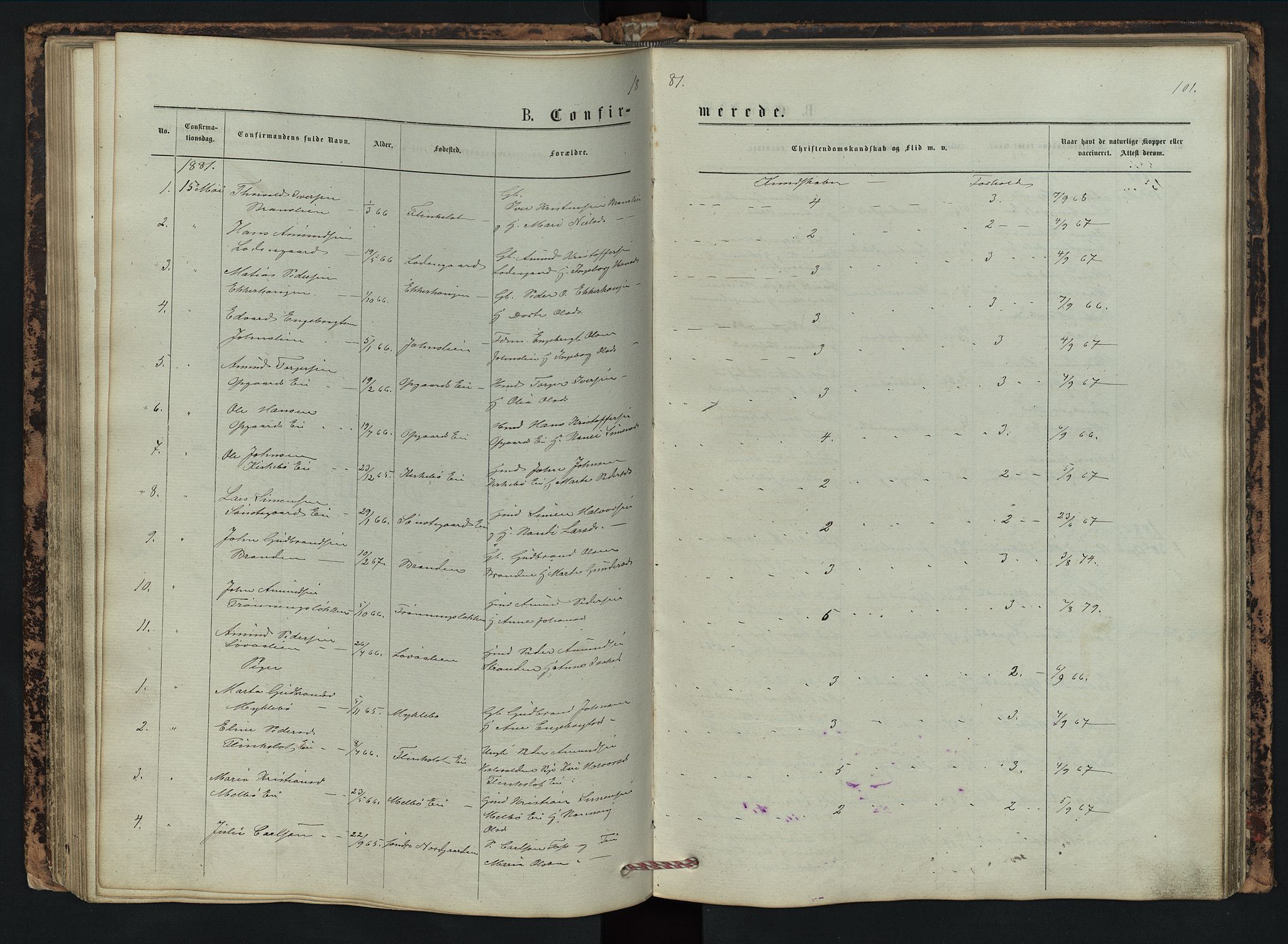 Vestre Gausdal prestekontor, SAH/PREST-094/H/Ha/Hab/L0002: Parish register (copy) no. 2, 1874-1897, p. 101
