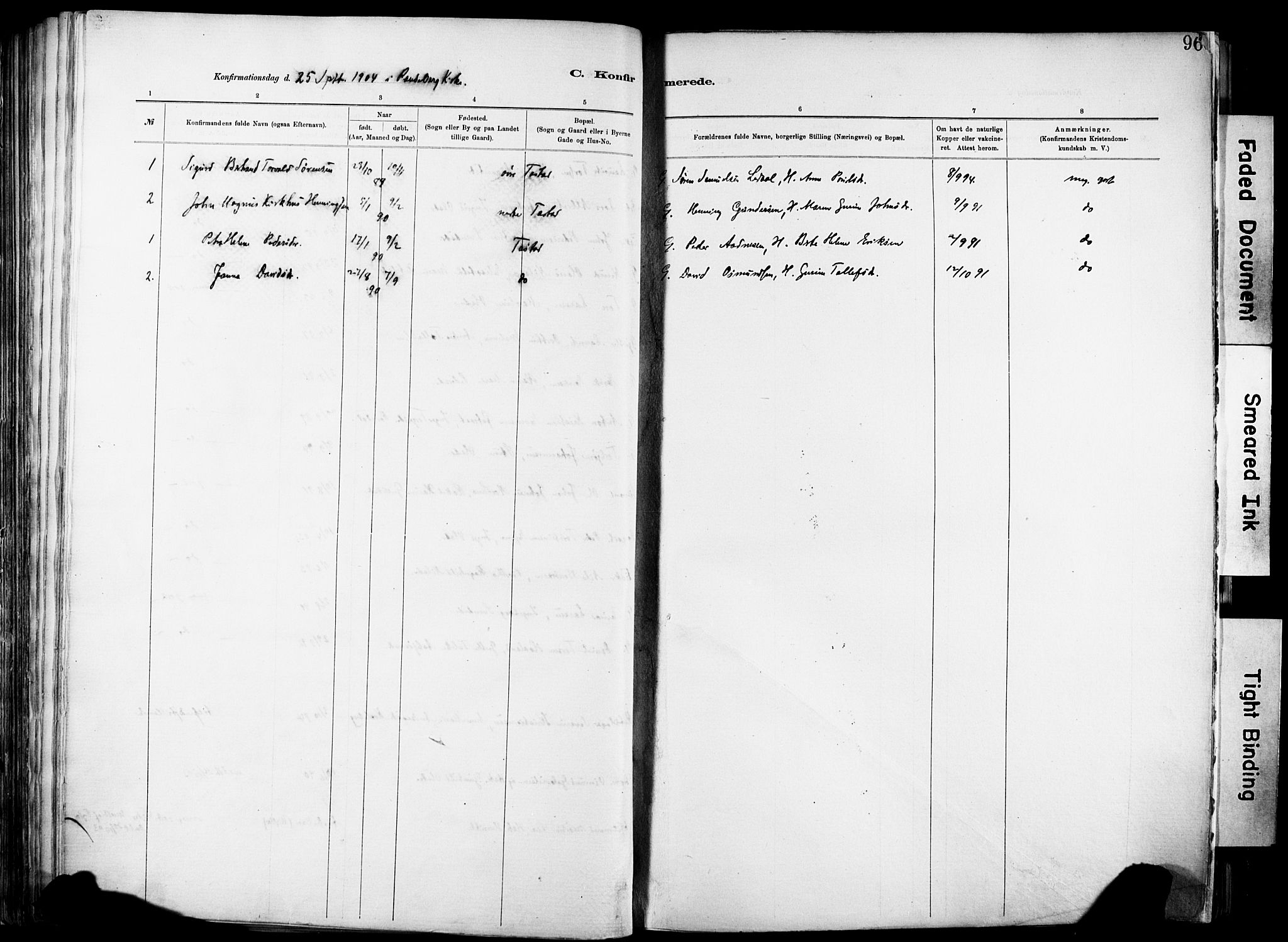 Hetland sokneprestkontor, SAST/A-101826/30/30BA/L0012: Parish register (official) no. A 12, 1882-1912, p. 96