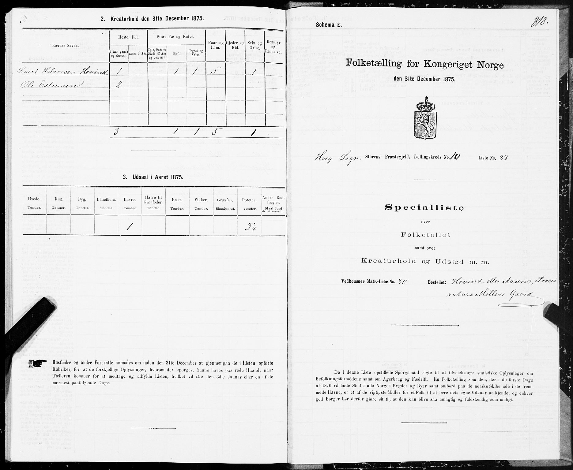 SAT, 1875 census for 1648P Støren, 1875, p. 5318