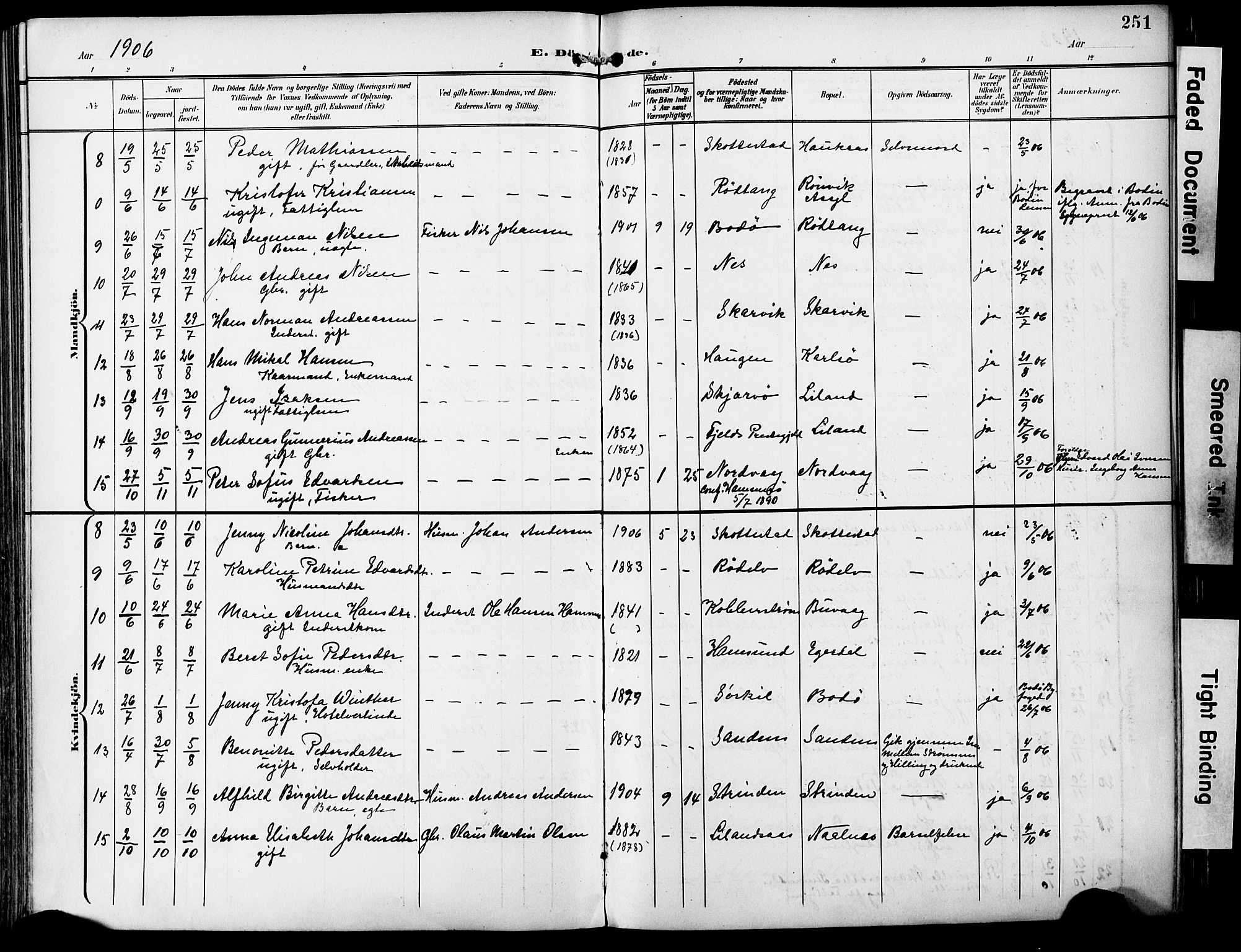 Ministerialprotokoller, klokkerbøker og fødselsregistre - Nordland, AV/SAT-A-1459/859/L0848: Parish register (official) no. 859A08, 1900-1912, p. 251