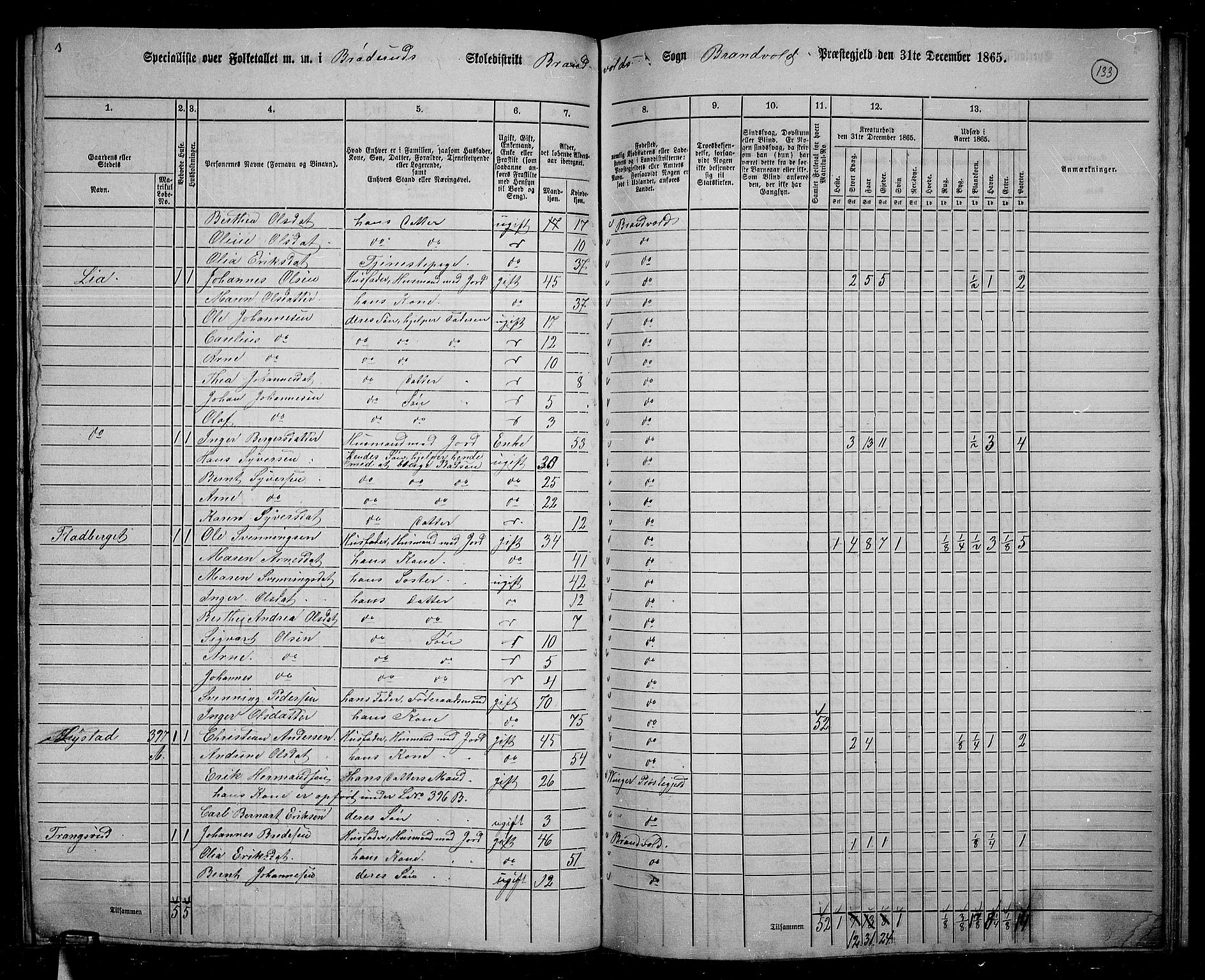 RA, 1865 census for Brandval, 1865, p. 114