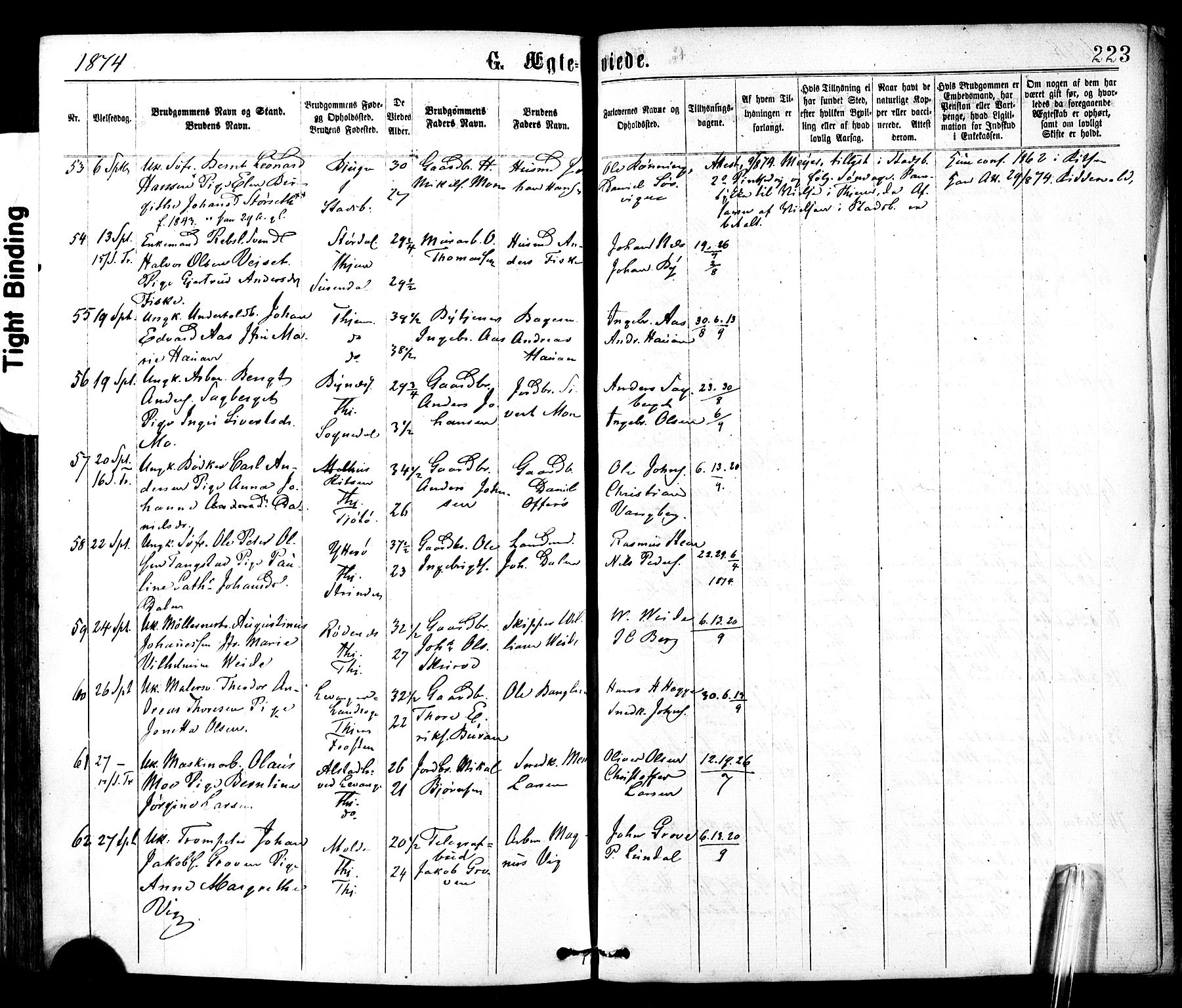 Ministerialprotokoller, klokkerbøker og fødselsregistre - Sør-Trøndelag, SAT/A-1456/602/L0118: Parish register (official) no. 602A16, 1873-1879, p. 223