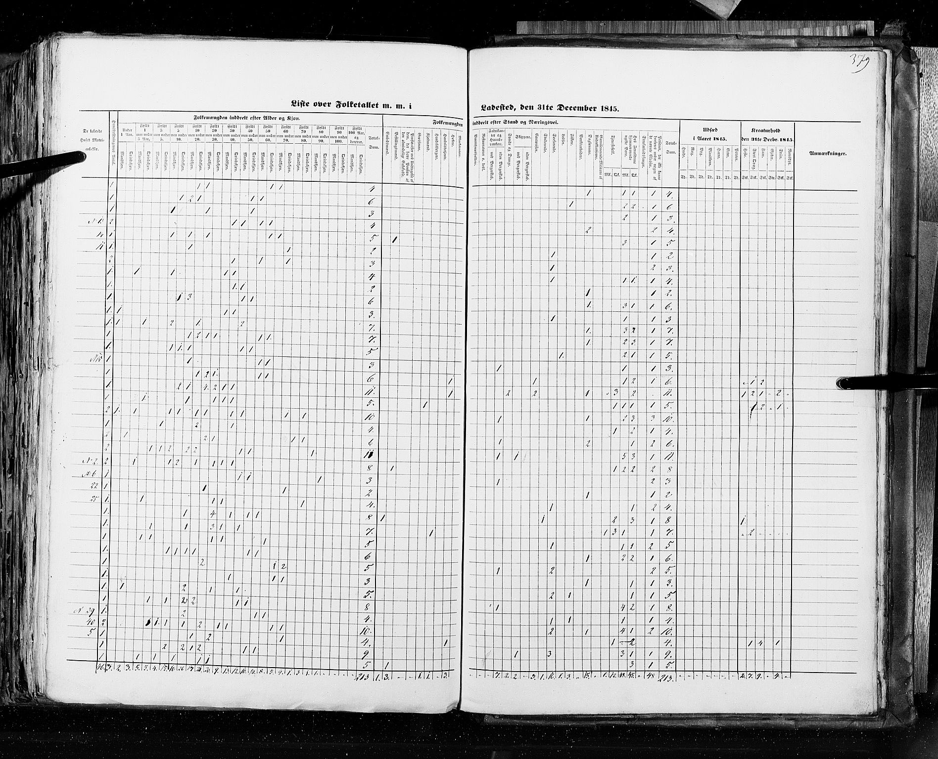 RA, Census 1845, vol. 10: Cities, 1845, p. 379