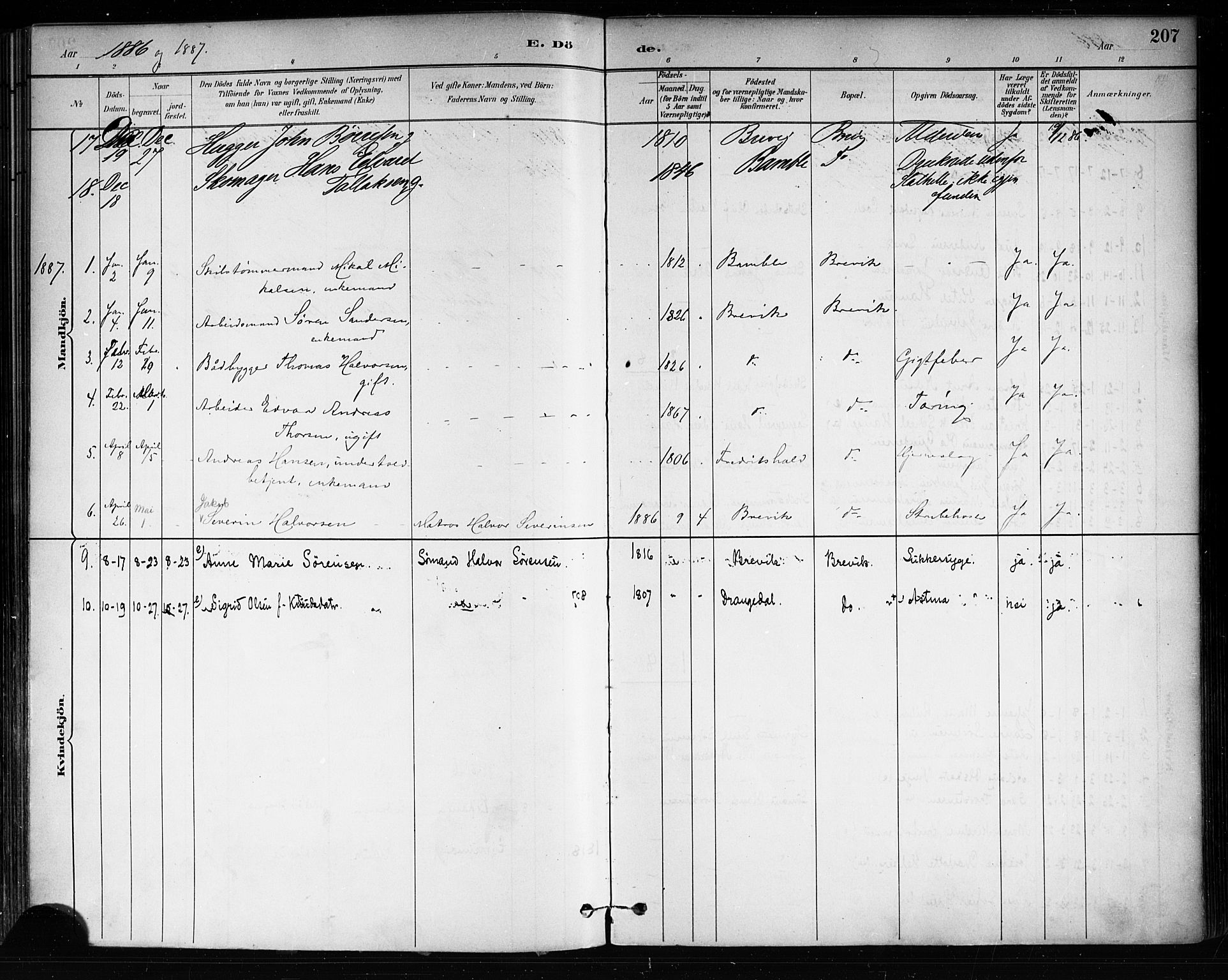 Brevik kirkebøker, SAKO/A-255/F/Fa/L0007: Parish register (official) no. 7, 1882-1900, p. 207