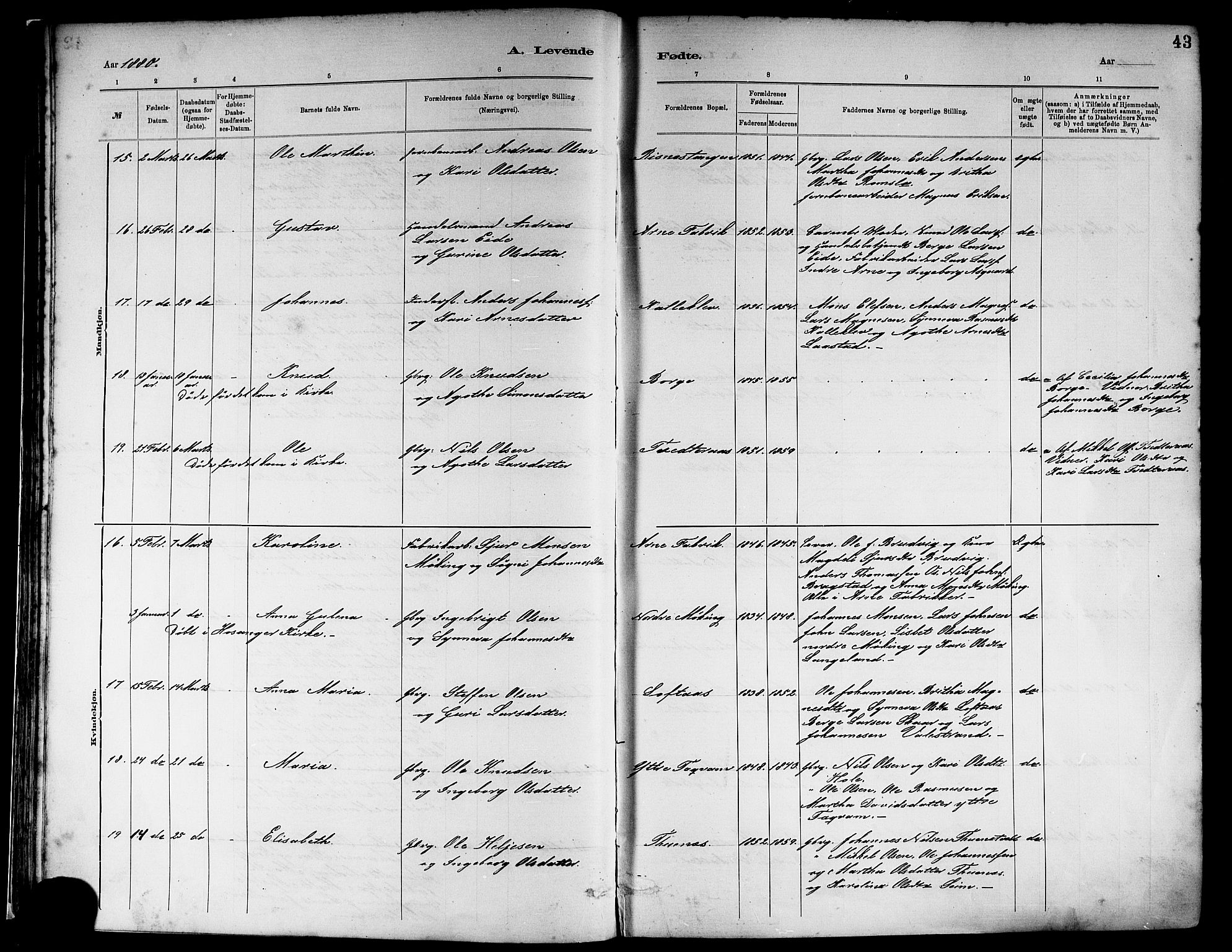 Haus sokneprestembete, AV/SAB-A-75601/H/Haa: Parish register (official) no. A 19I, 1878-1886, p. 43