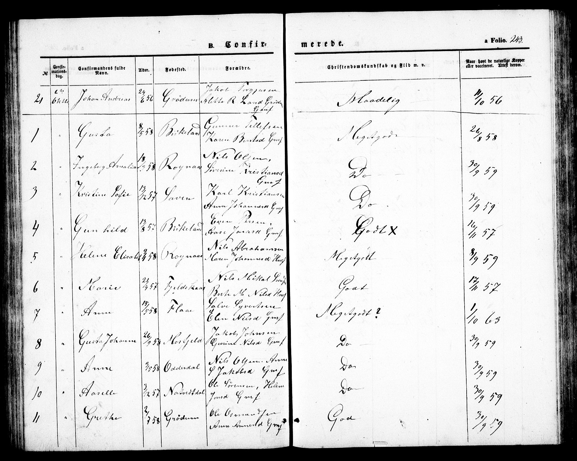 Birkenes sokneprestkontor, AV/SAK-1111-0004/F/Fb/L0002: Parish register (copy) no. B 2, 1849-1876, p. 243