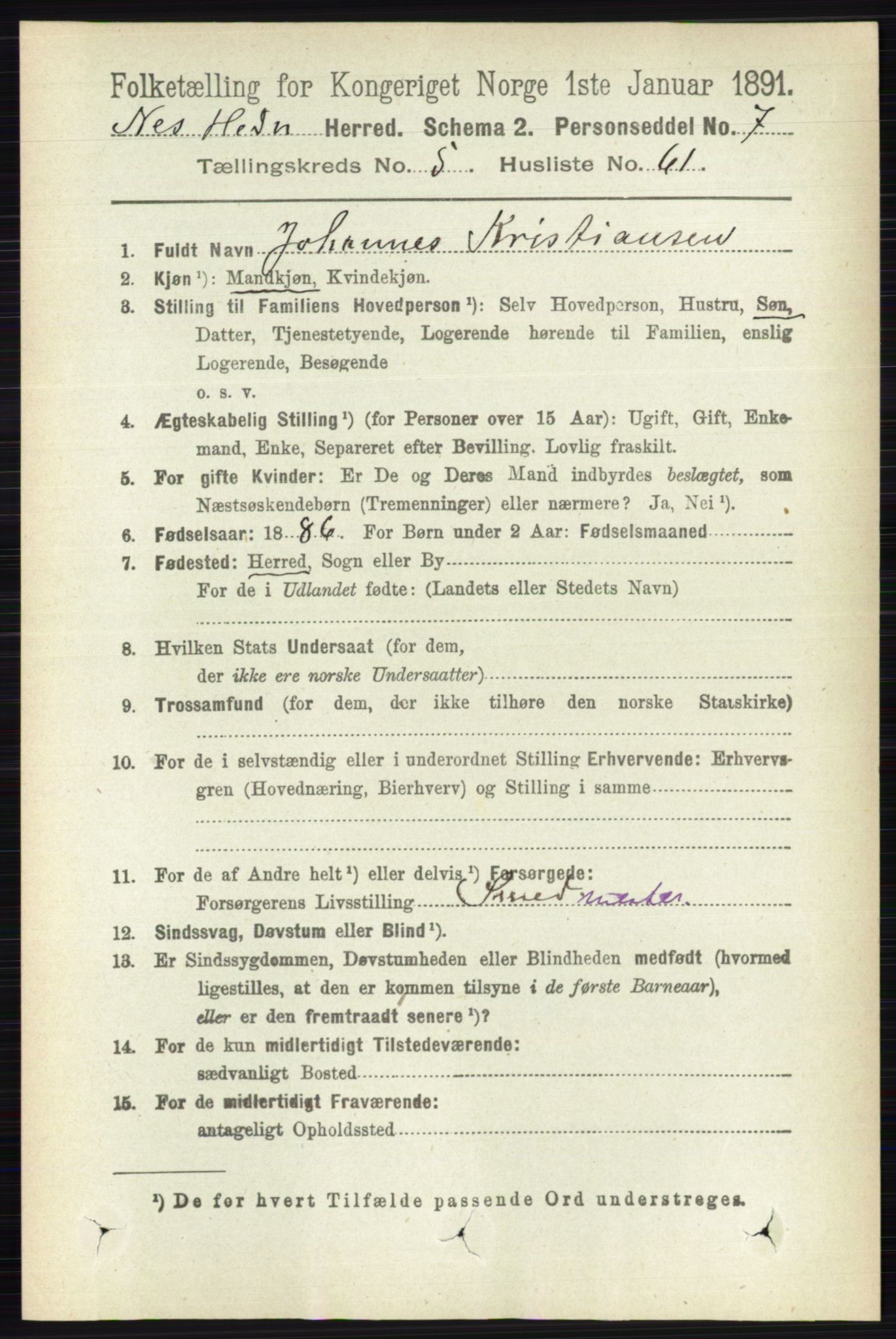 RA, 1891 census for 0411 Nes, 1891, p. 3004